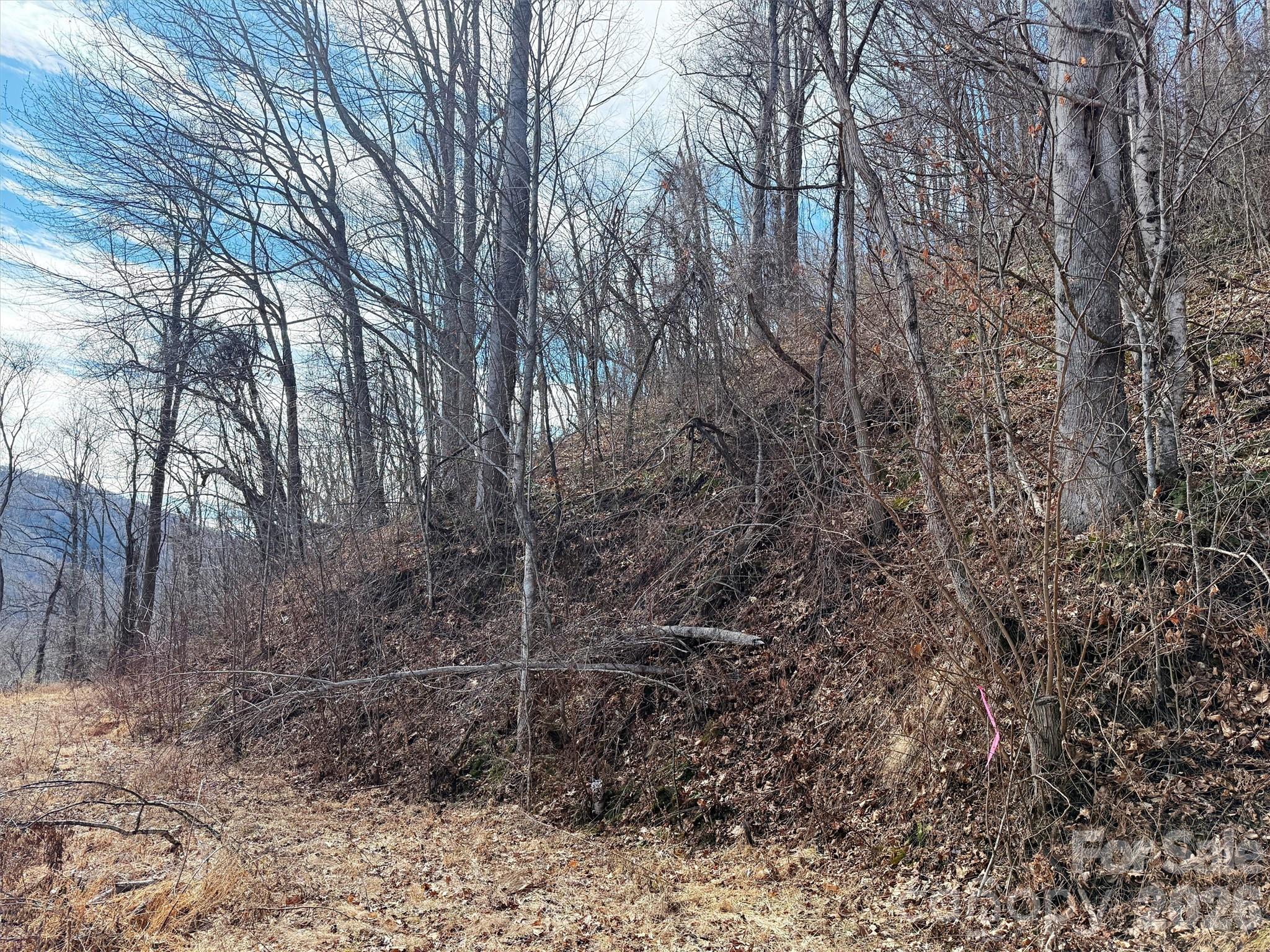 Tbd Rock Ridge Road 9a & 9b Property Photo 20