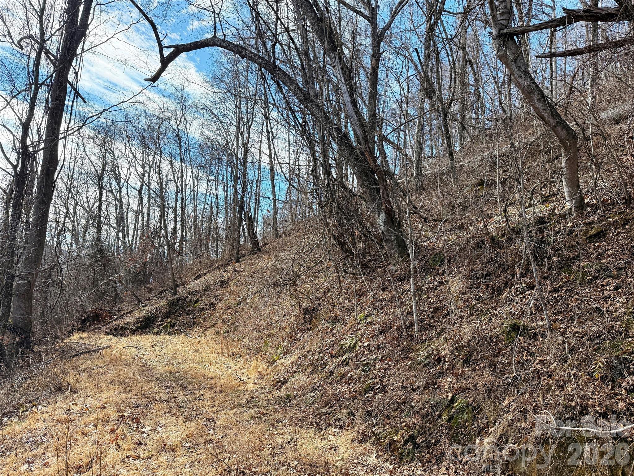 Tbd Rock Ridge Road 9a & 9b Property Photo 24
