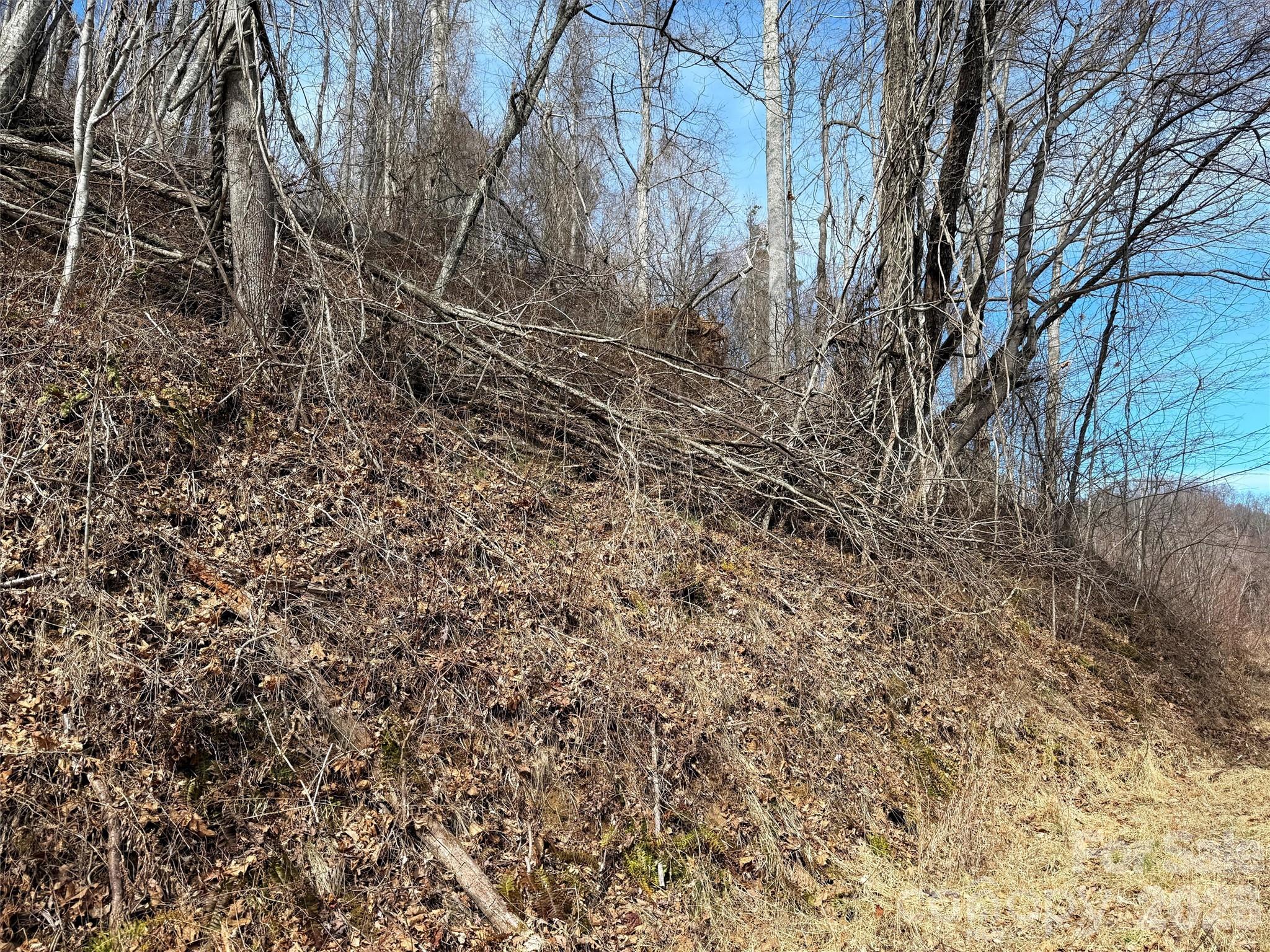 Tbd Rock Ridge Road 9a & 9b Property Photo 26
