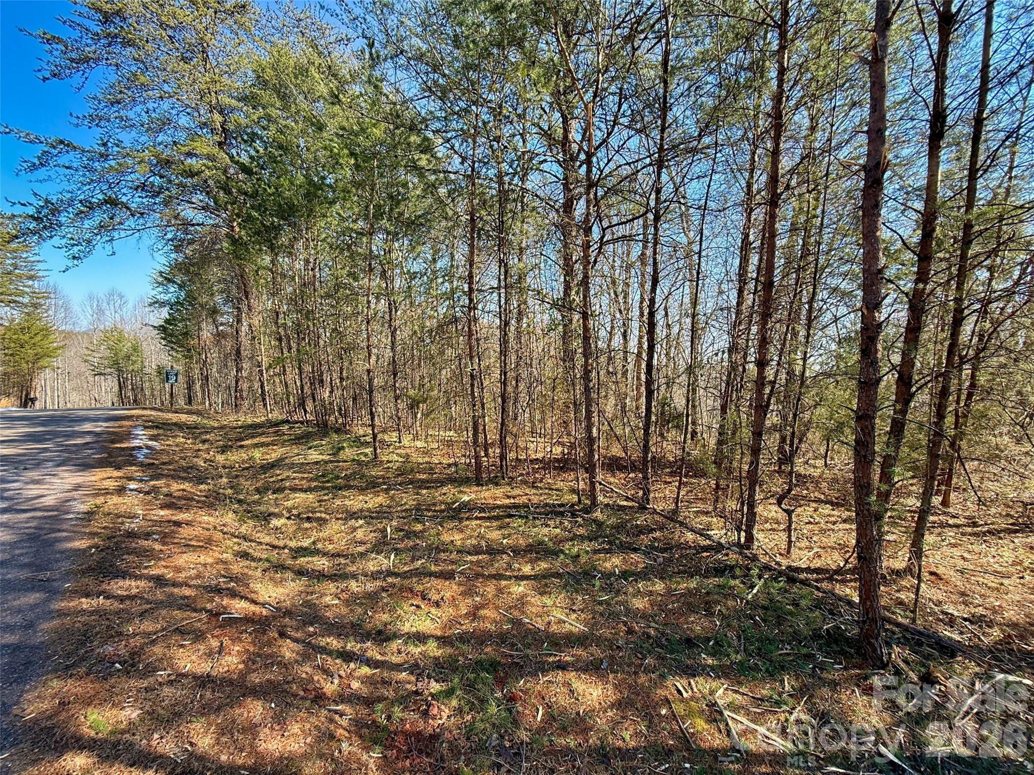 Lots 79 80 100 Westridge Drive Property Photo 2