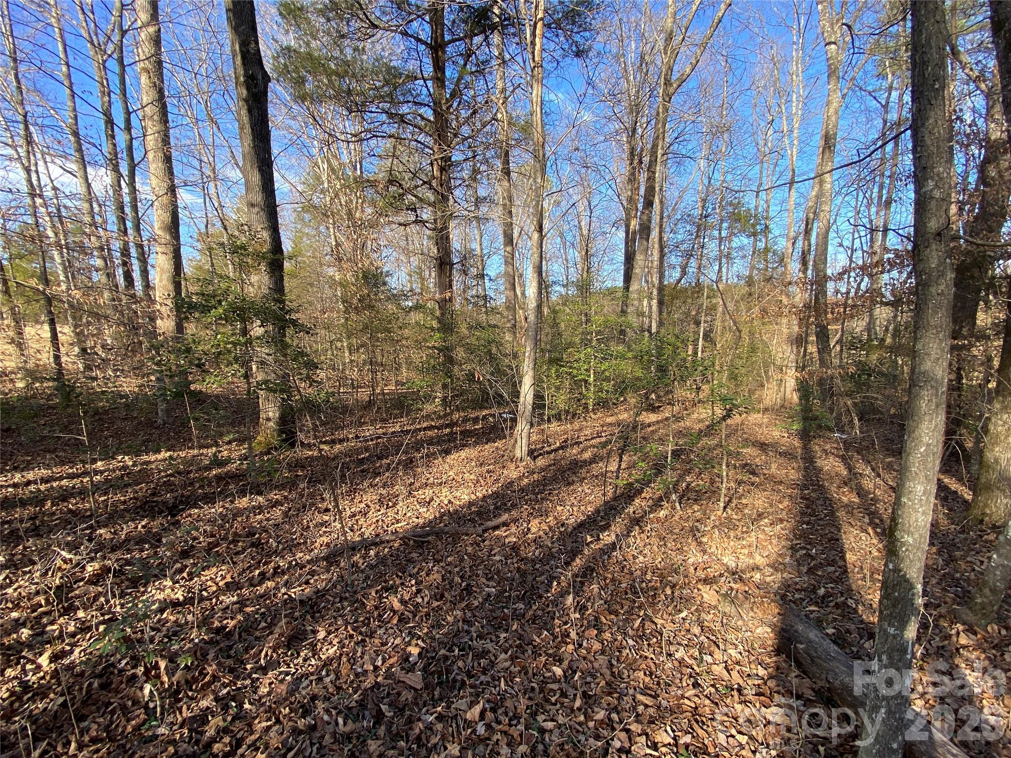 0 Us Hwy 64/74a Highway Property Photo 5