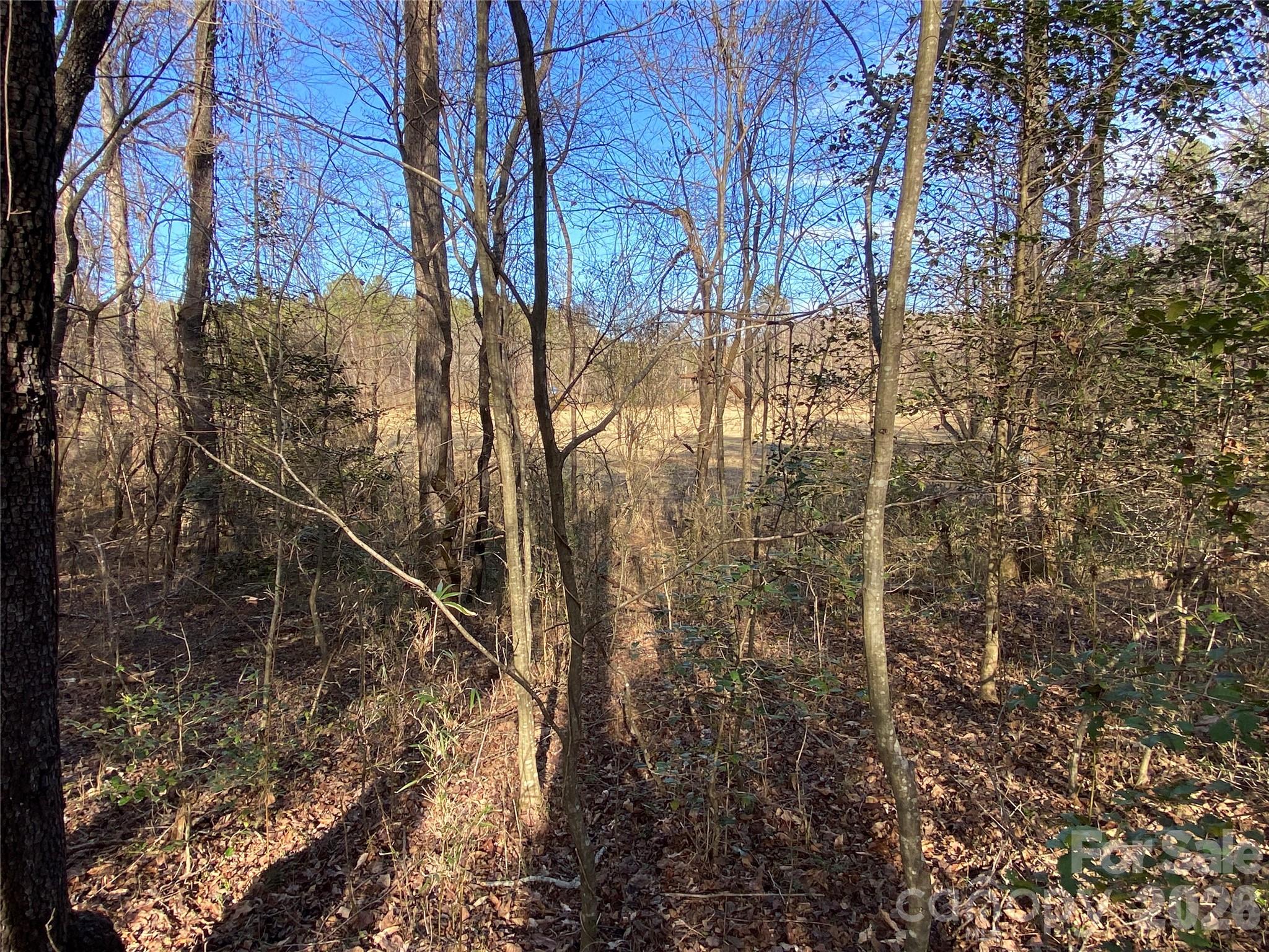 0 Us Hwy 64/74a Highway Property Photo 7