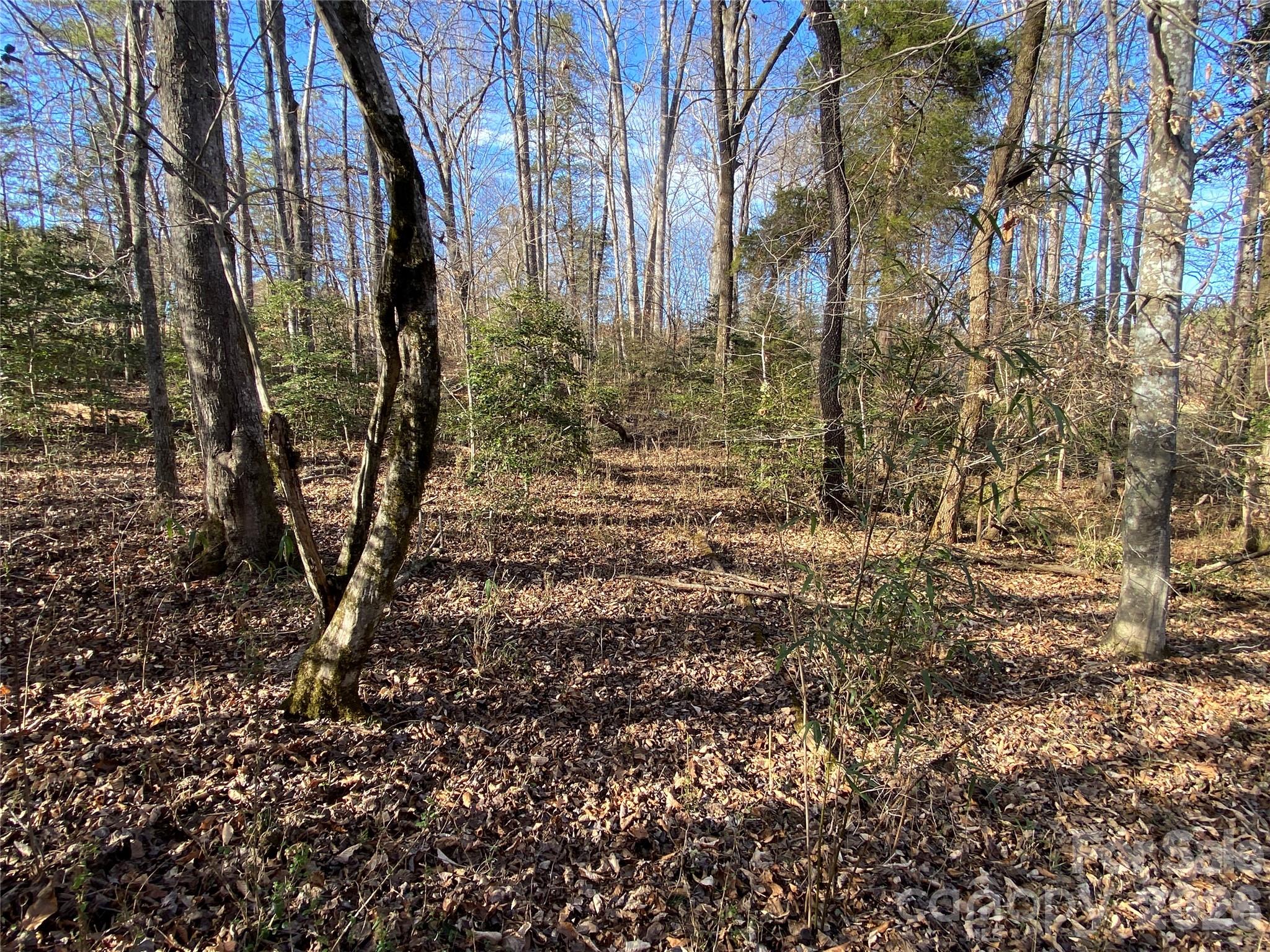 0 Us Hwy 64/74a Highway Property Photo 8