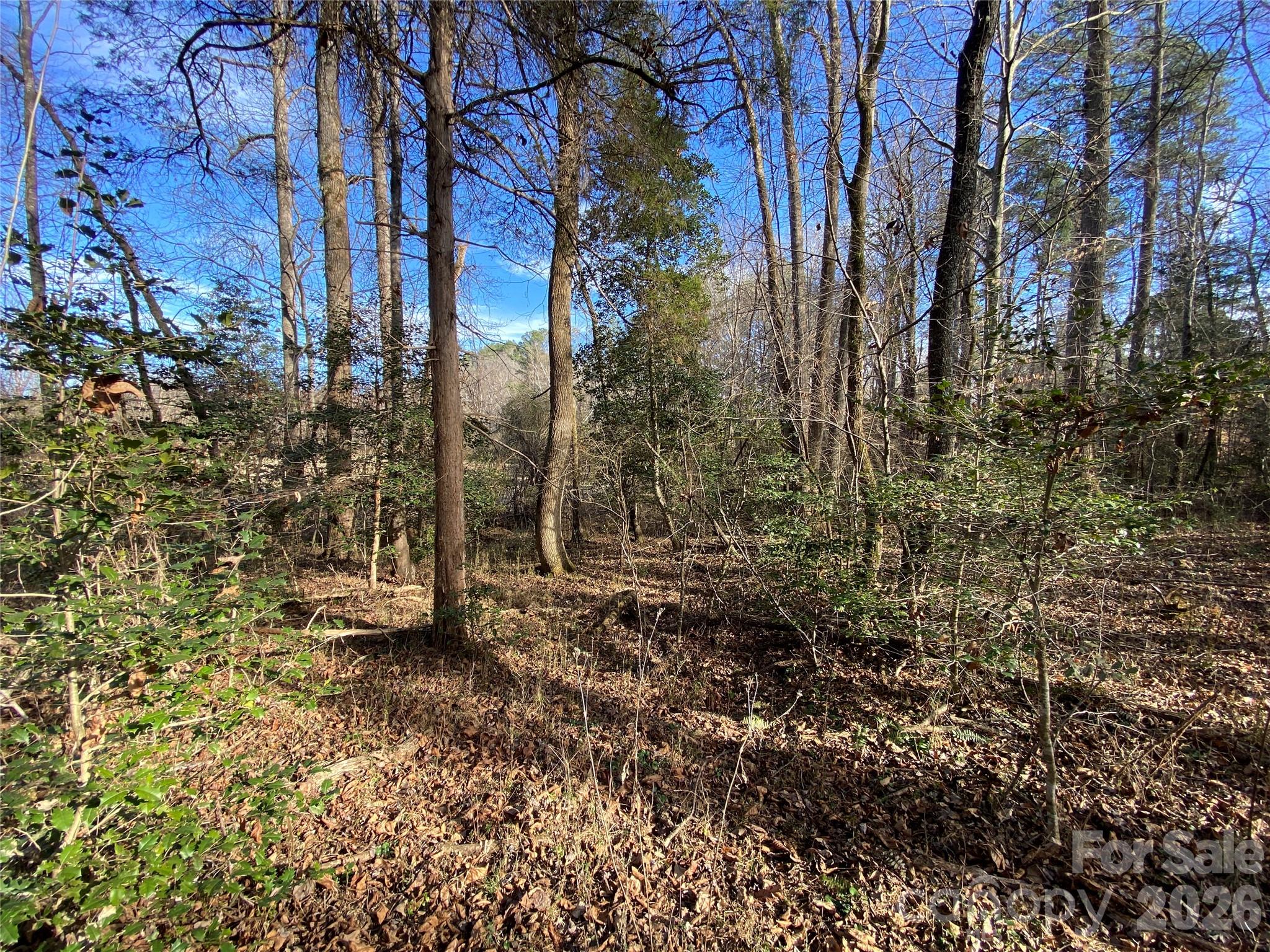 0 Us Hwy 64/74a Highway Property Photo 11