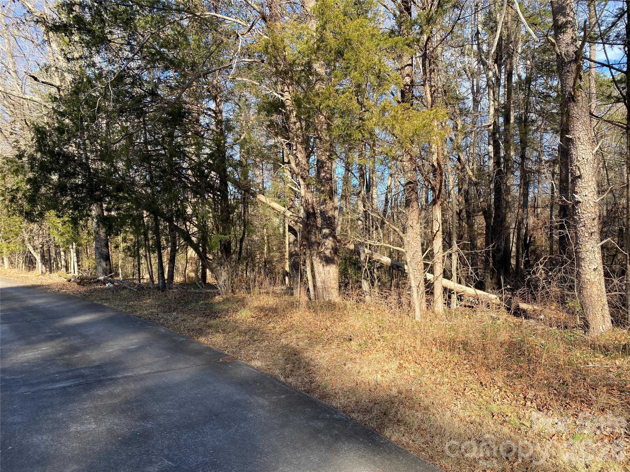 0 Us Hwy 64/74a Highway Property Photo 12