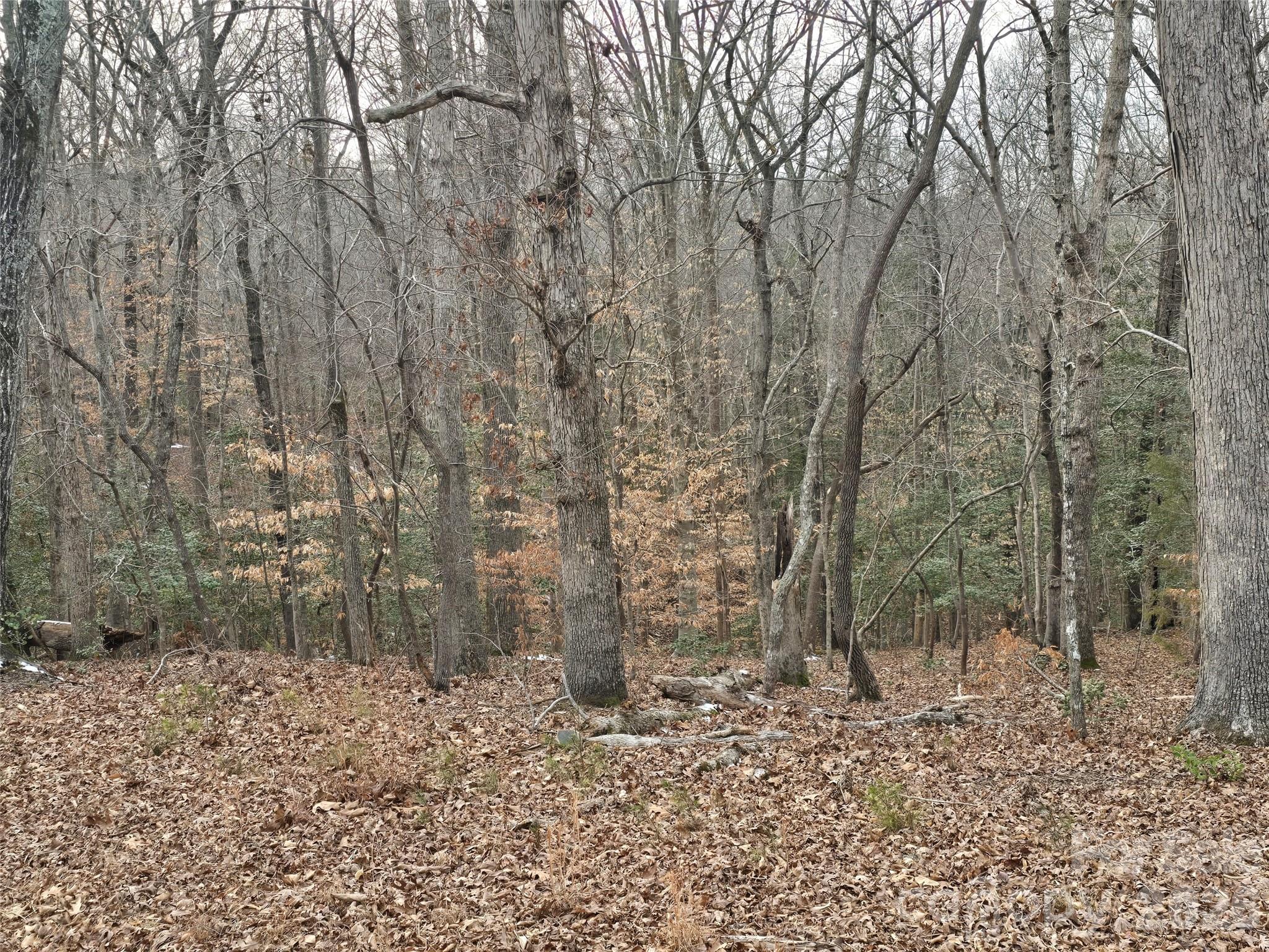 301 Chinkapin Road Property Photo 2