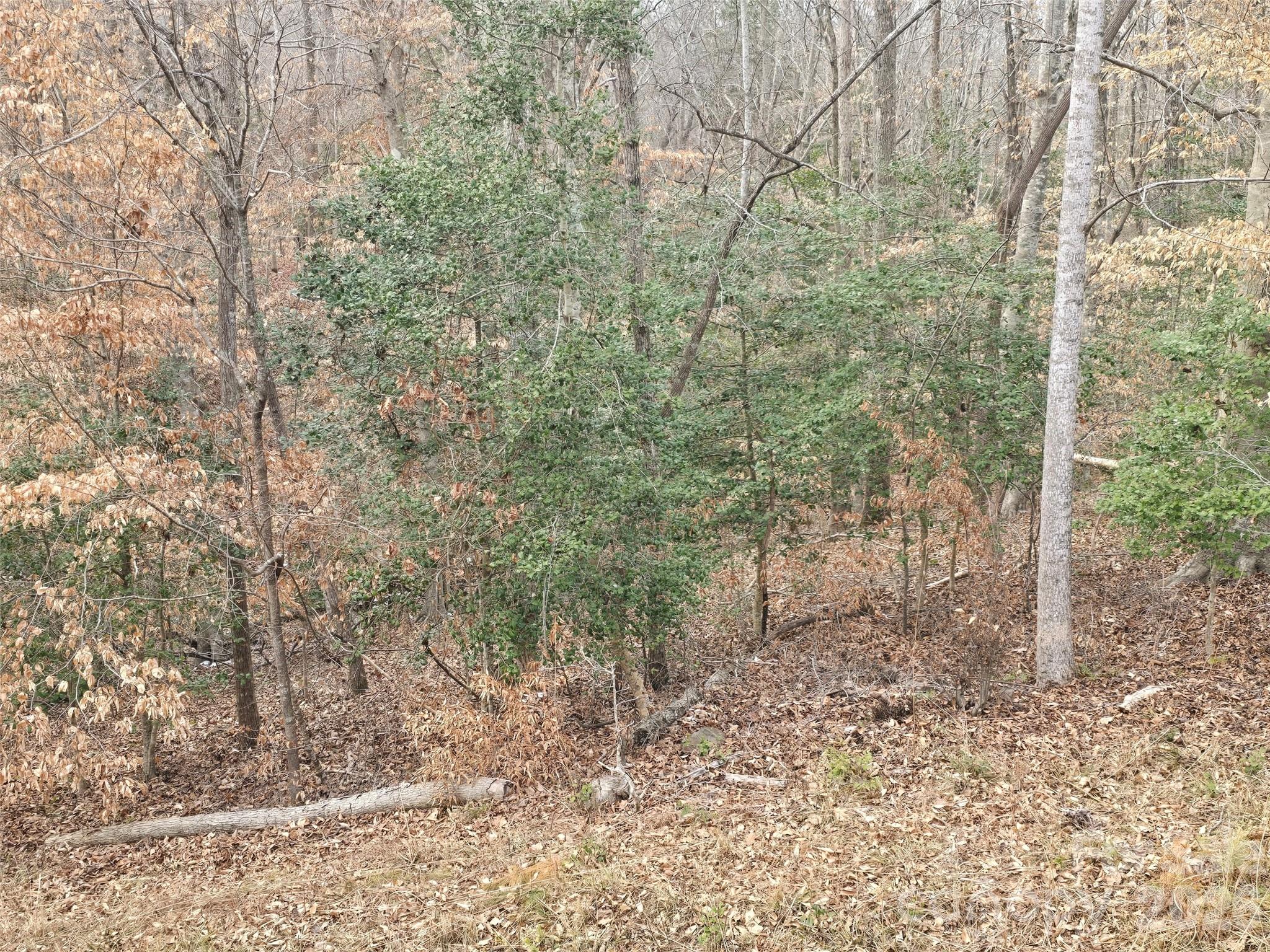 301 Chinkapin Road Property Photo 3