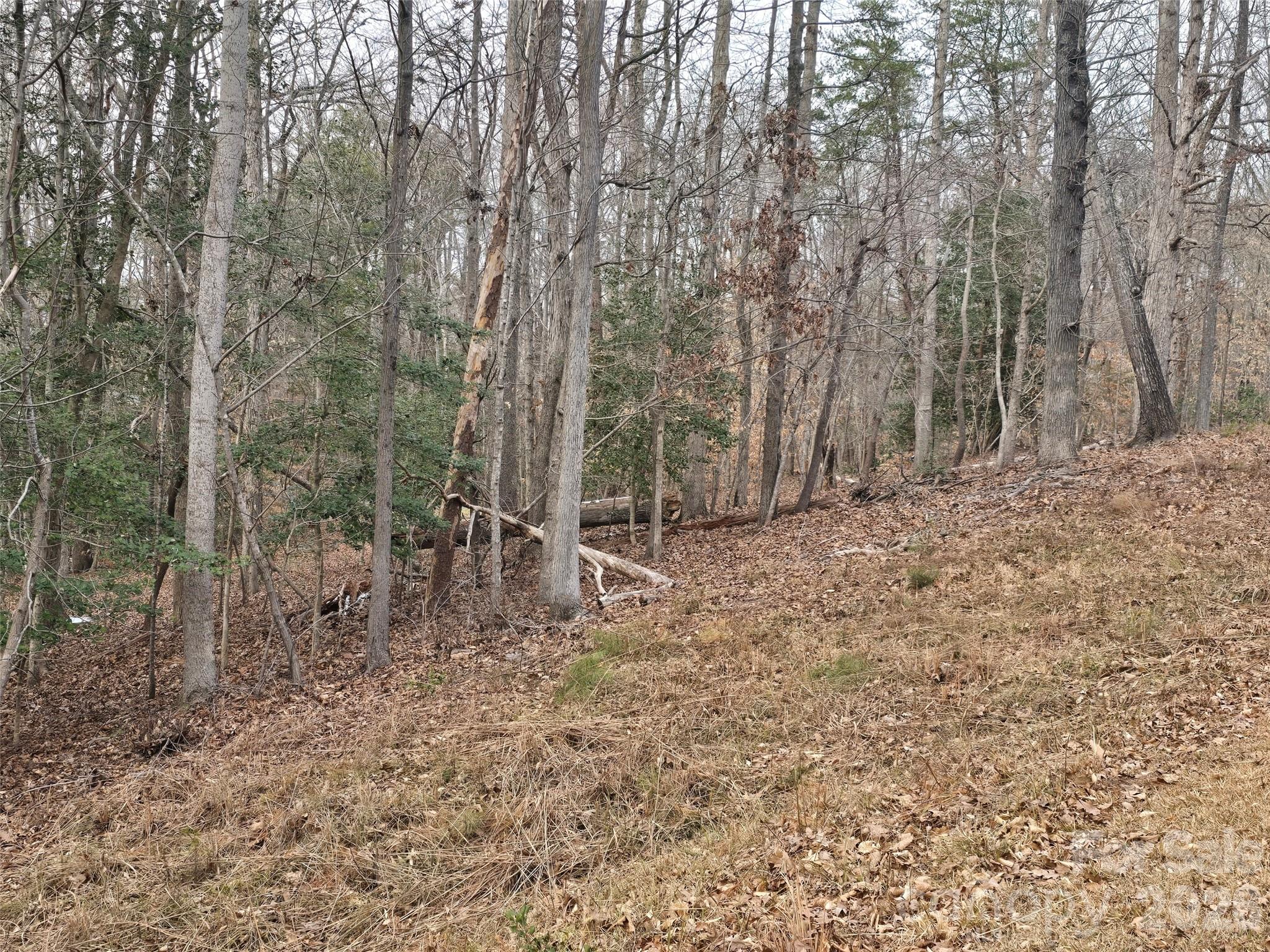 301 Chinkapin Road Property Photo 5