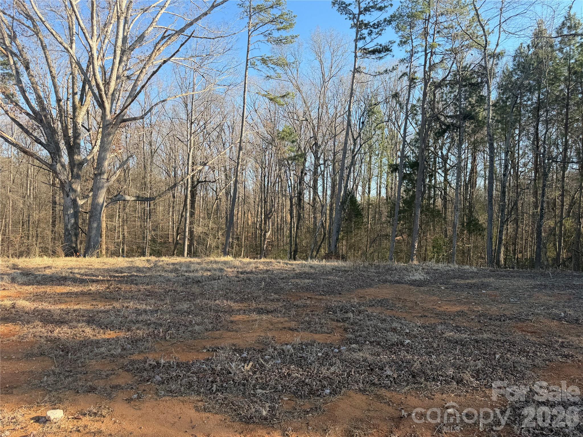 107 4th Street Property Photo 2