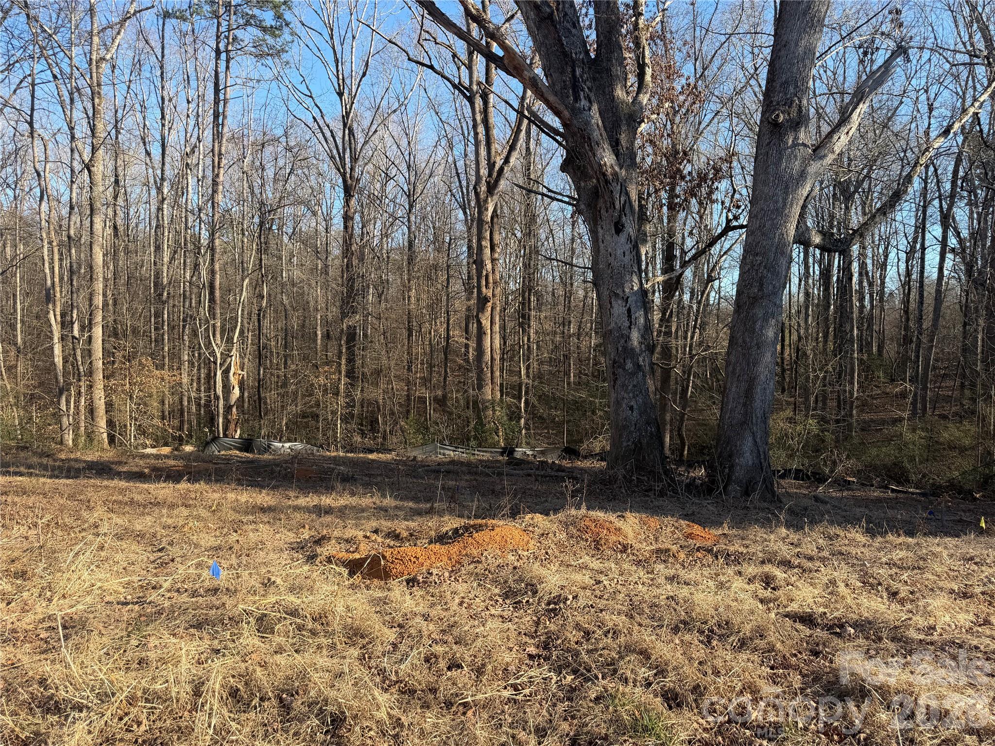 107 4th Street Property Photo 3