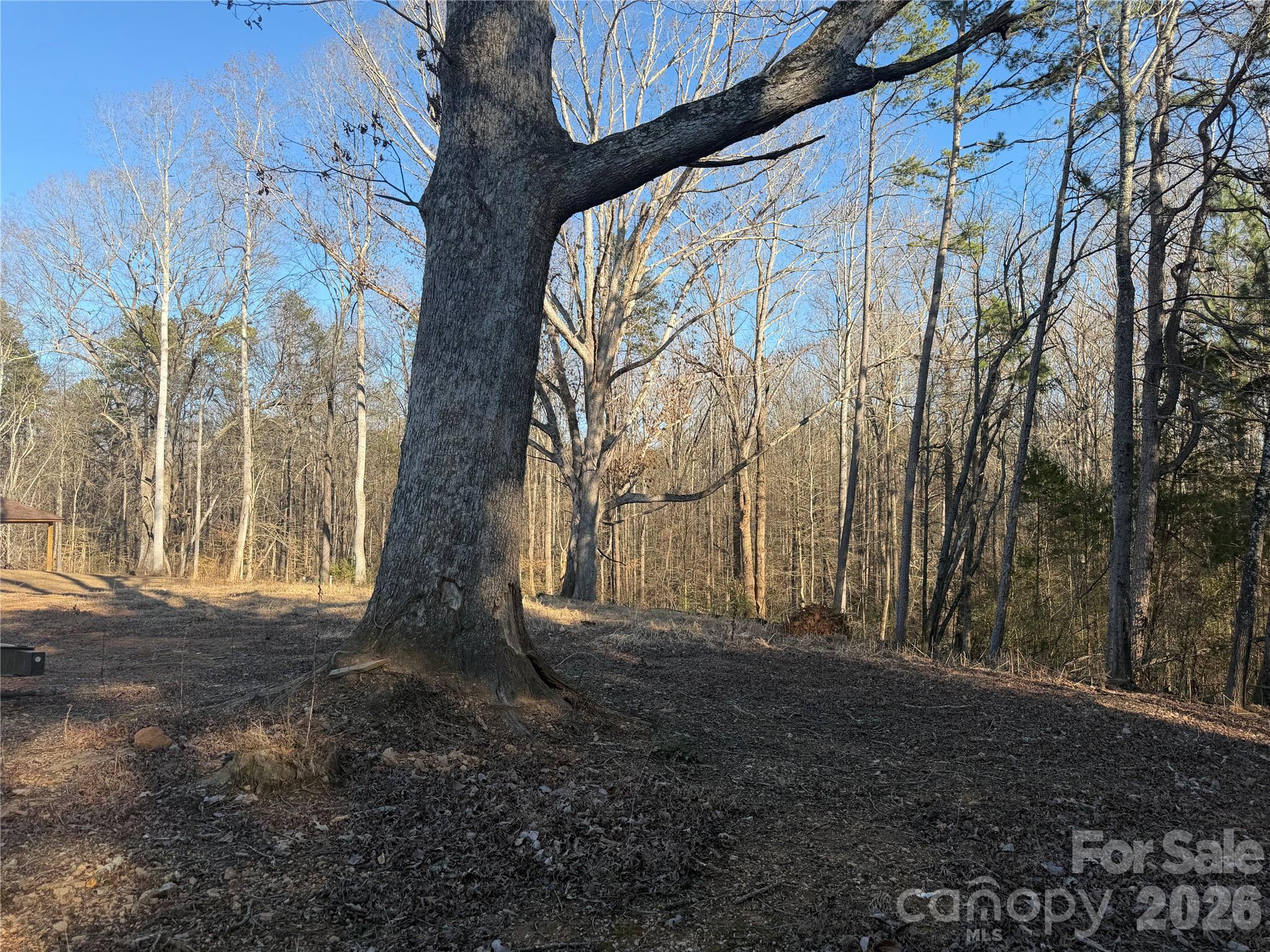 107 4th Street Property Photo 6