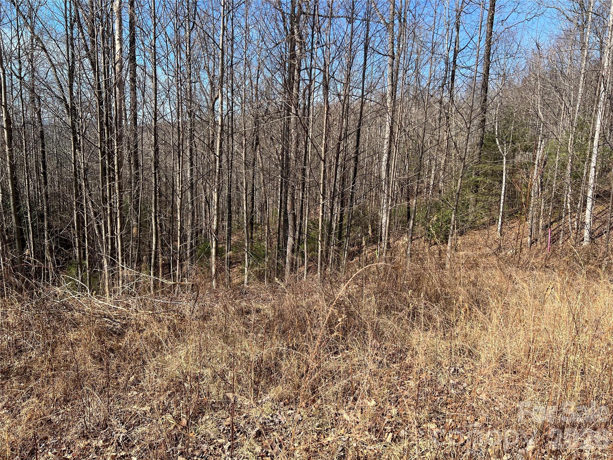 521 Timber Rock Drive 521 Property Photo 4