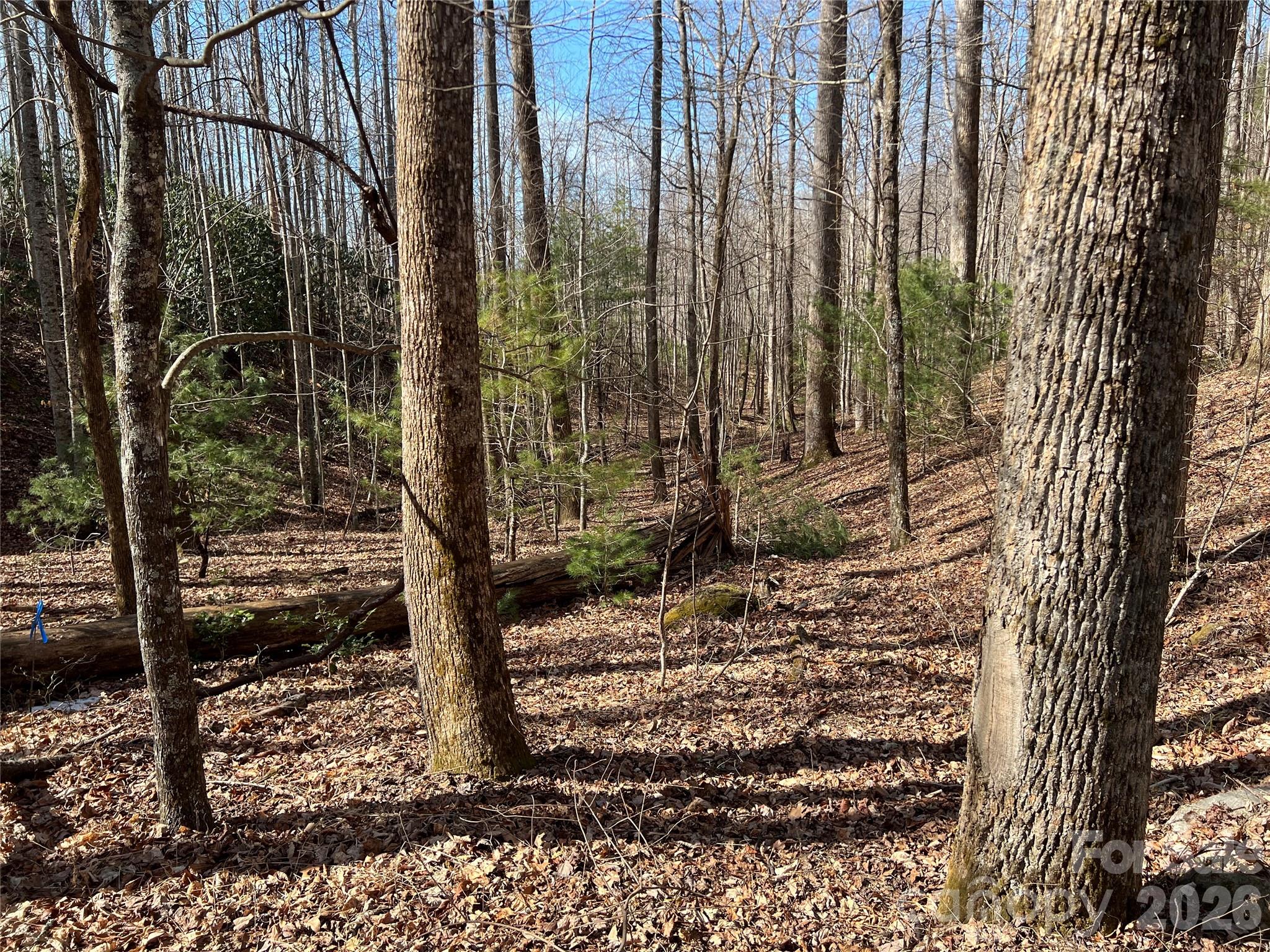 521 Timber Rock Drive 521 Property Photo 7