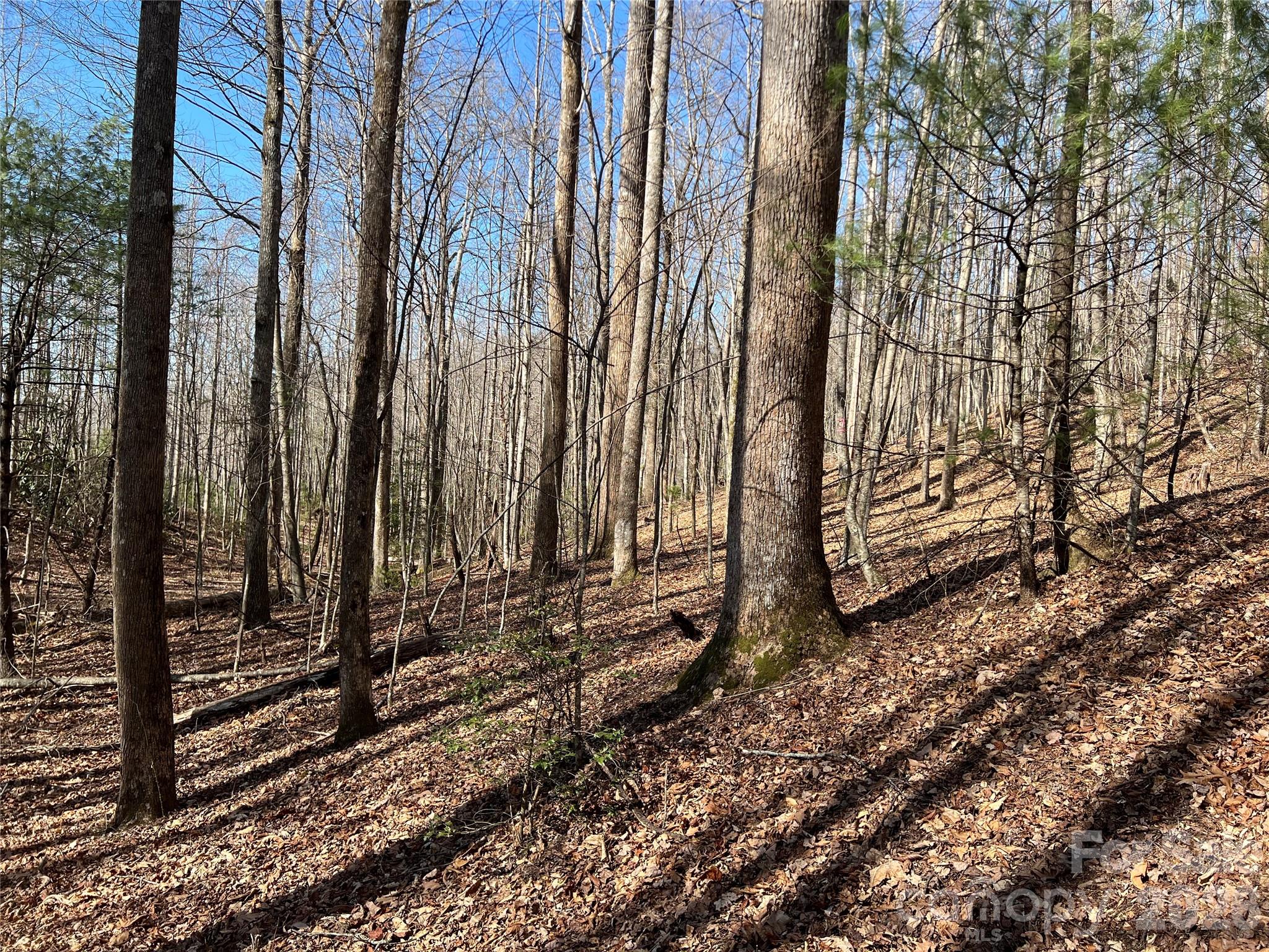 521 Timber Rock Drive 521 Property Photo 8