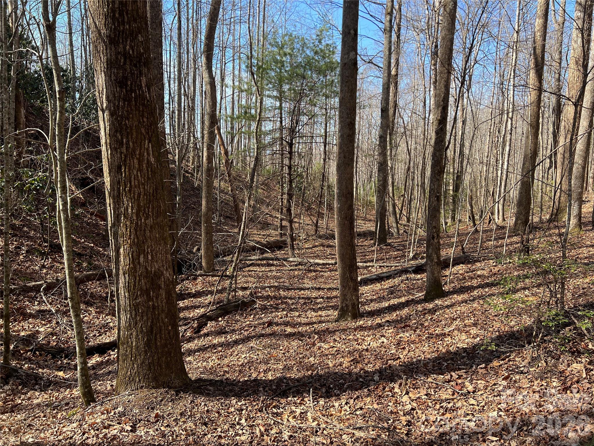 521 Timber Rock Drive 521 Property Photo 9