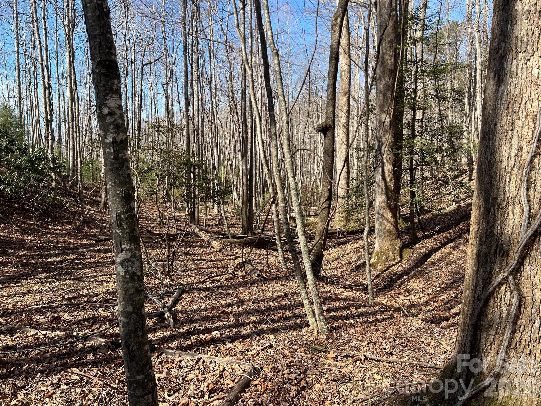 521 Timber Rock Drive 521 Property Photo 11