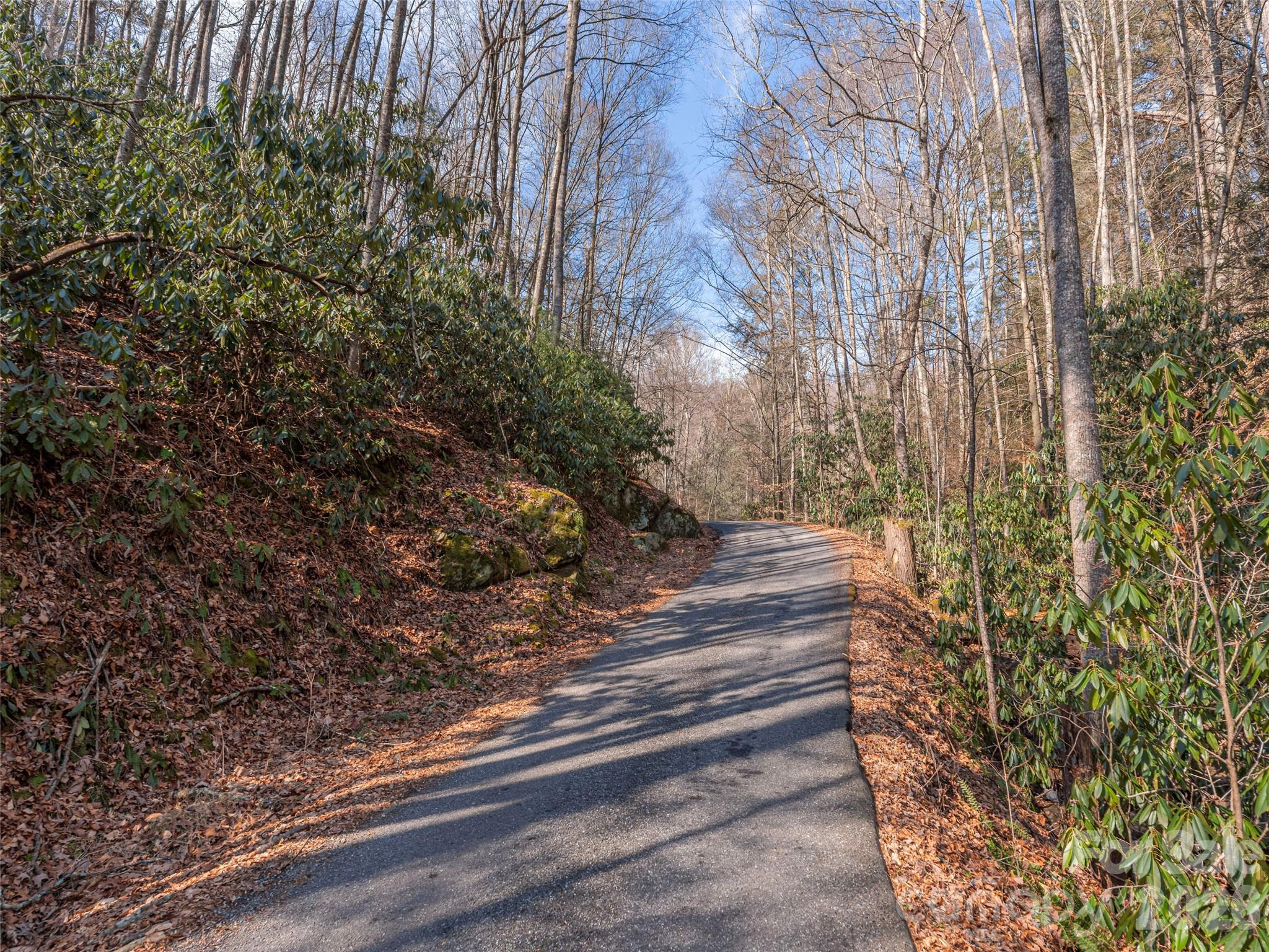 0 Coyote Hollow Road Property Photo 1