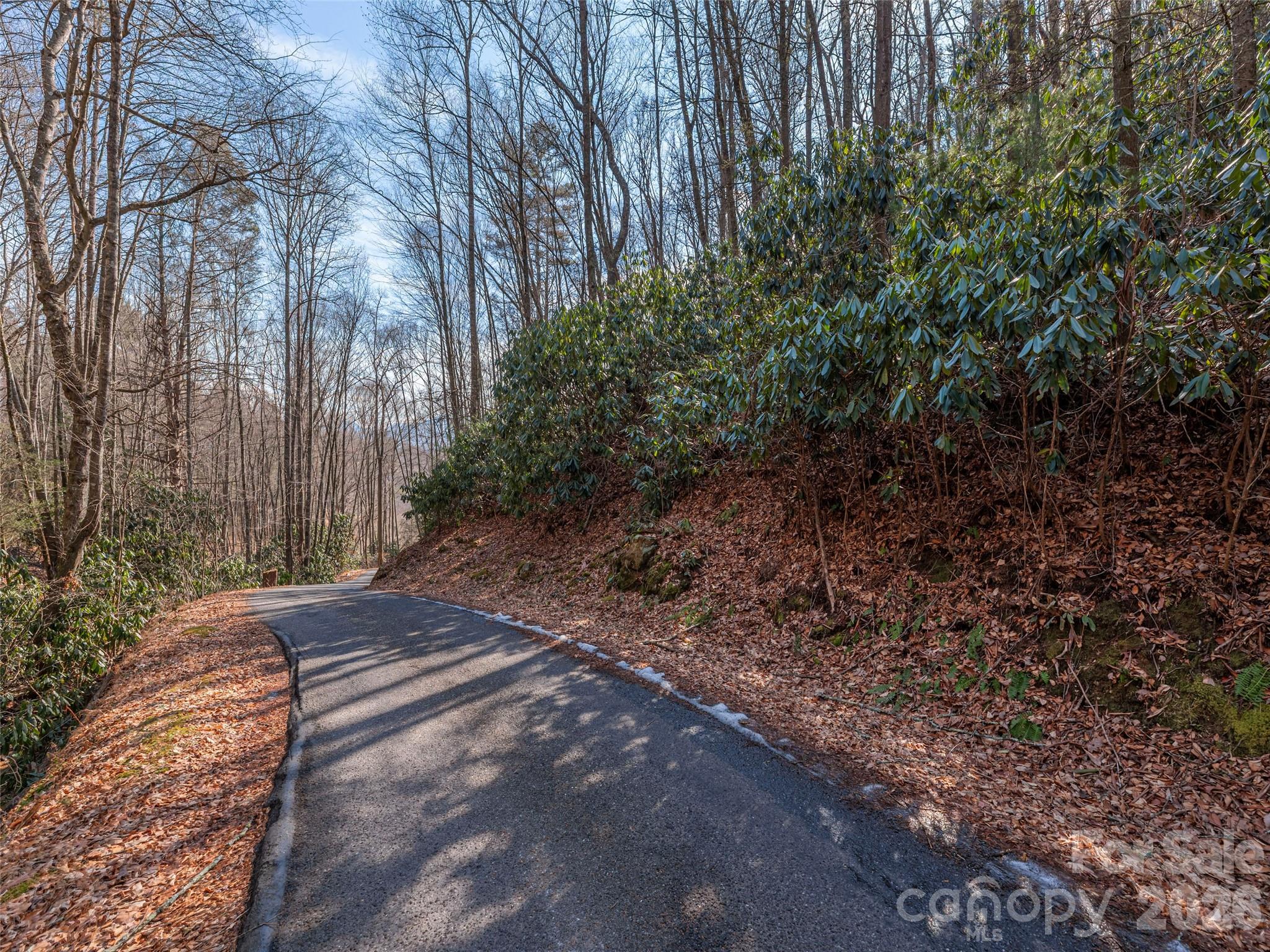0 Coyote Hollow Road Property Photo 2