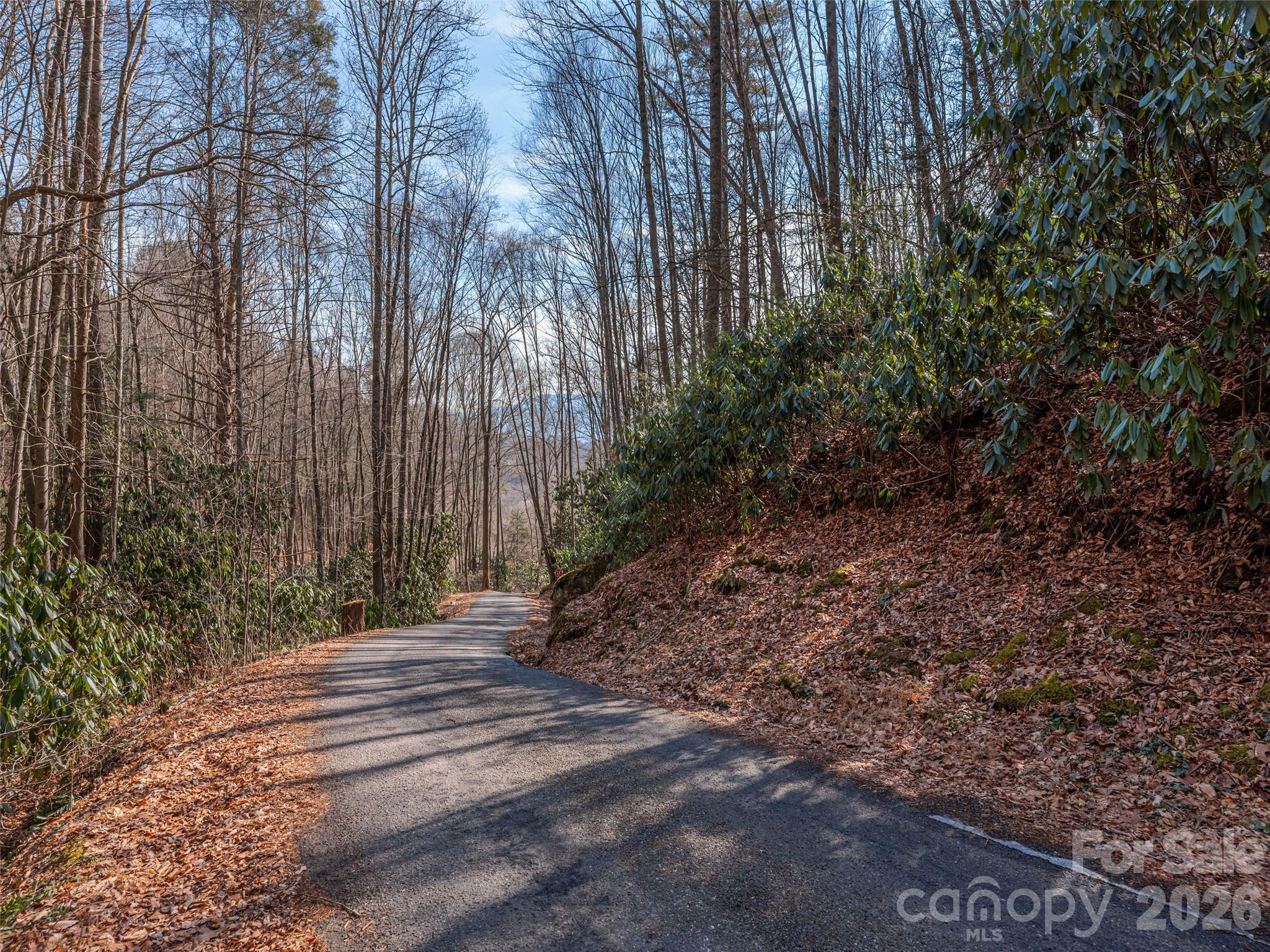 0 Coyote Hollow Road Property Photo 3