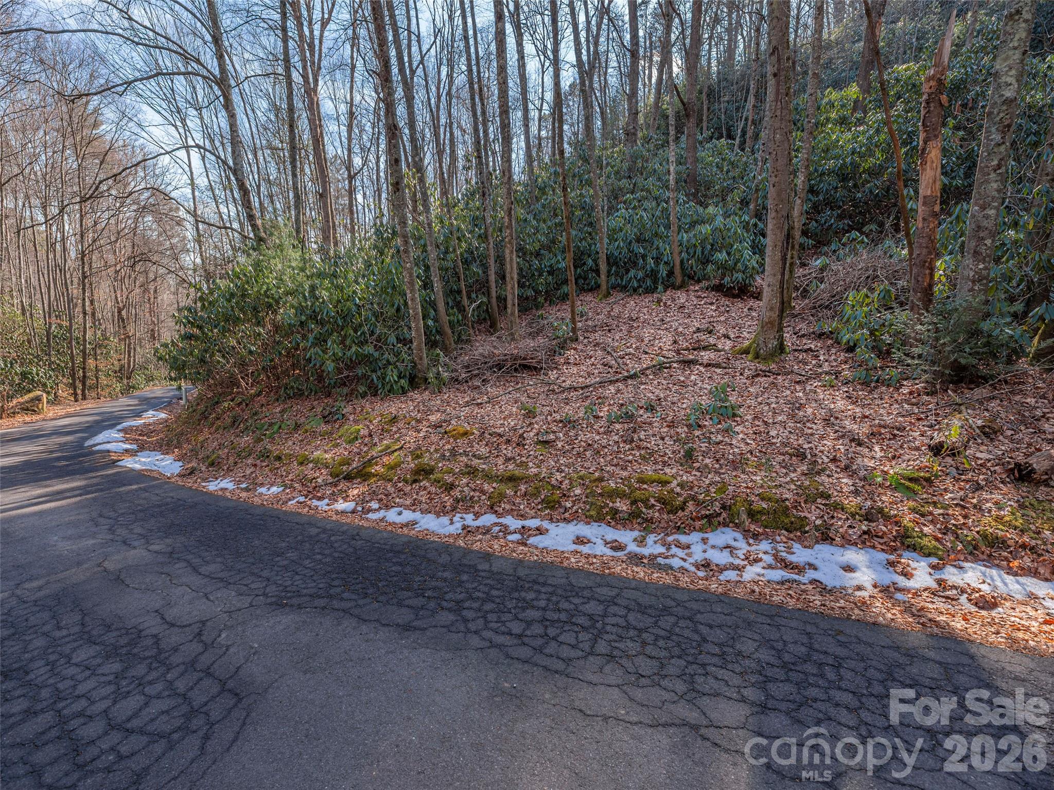 0 Coyote Hollow Road Property Photo 4