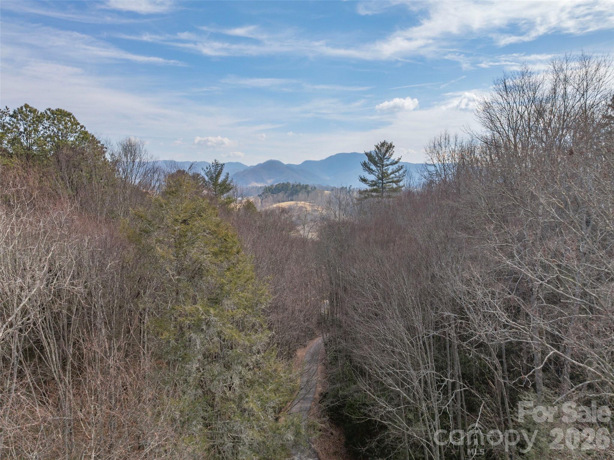 0 Coyote Hollow Road Property Photo 6