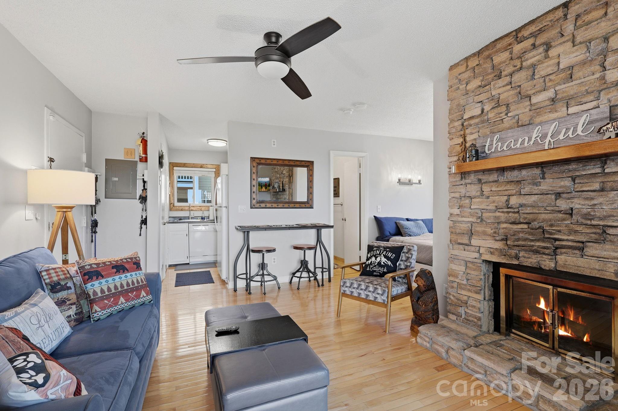 301 Pinnacle Inn Road 4208 Property Photo 6