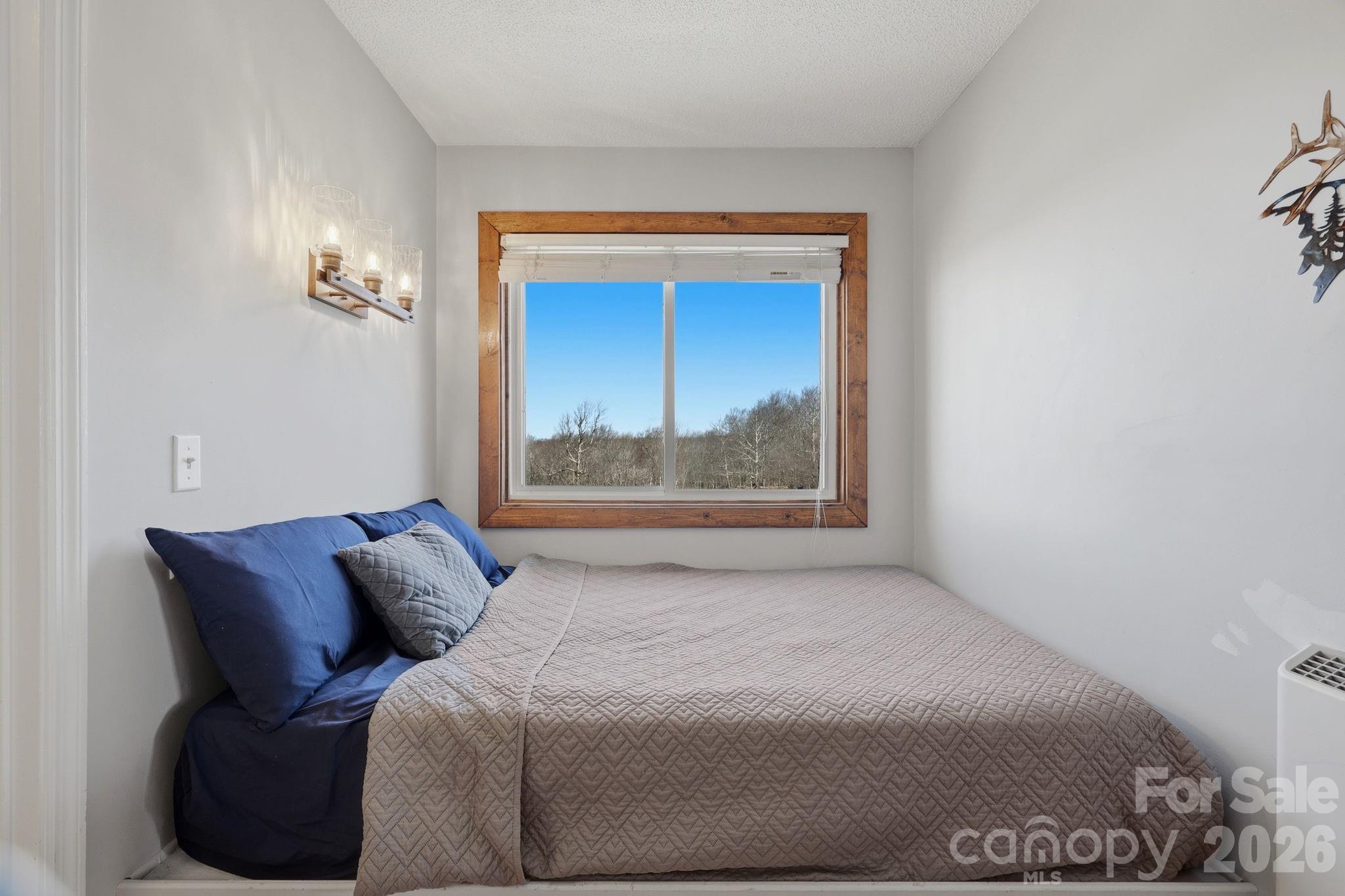 301 Pinnacle Inn Road 4208 Property Photo 11