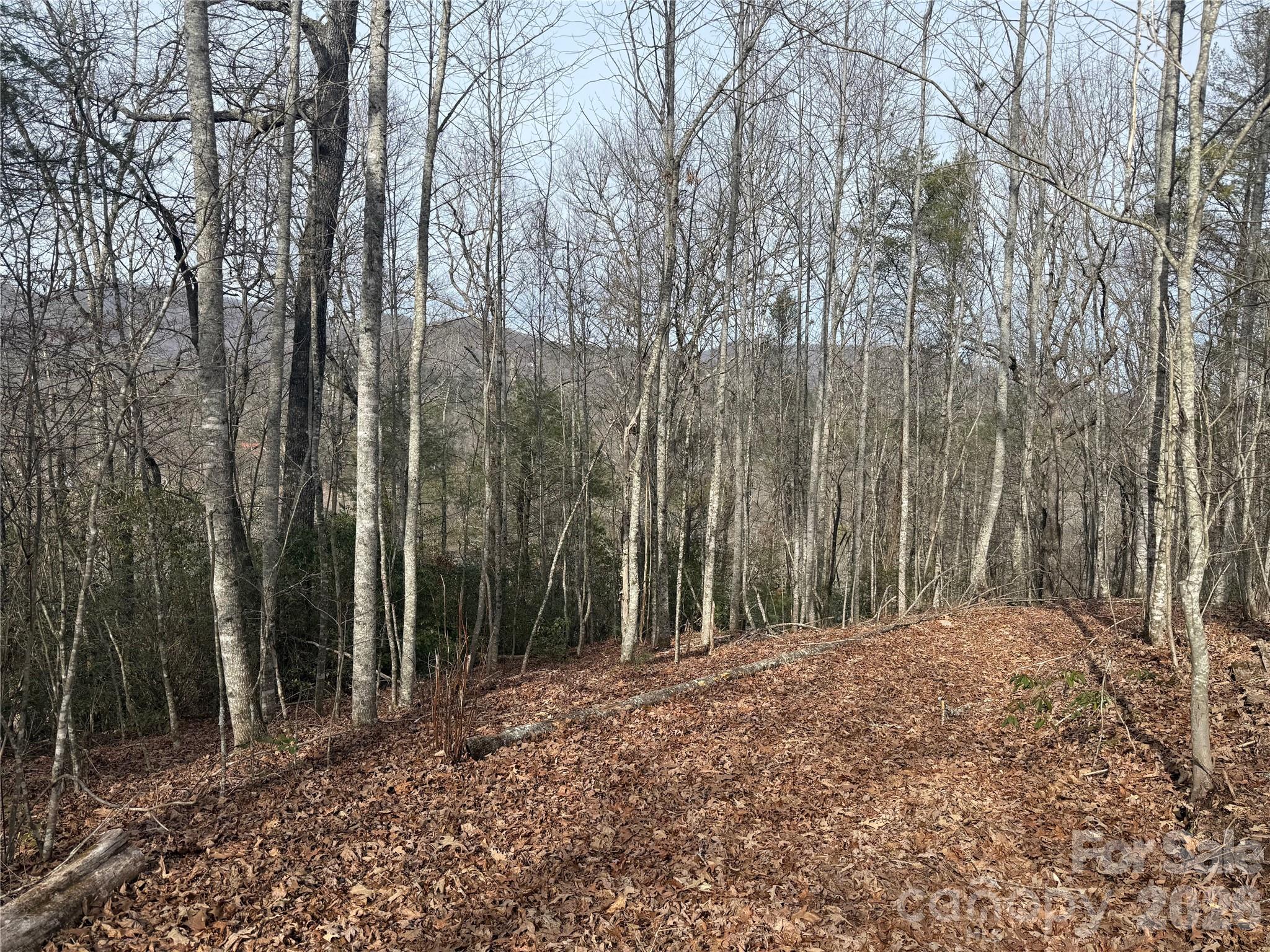 Lot 10, 11 River Run Run Property Photo 2