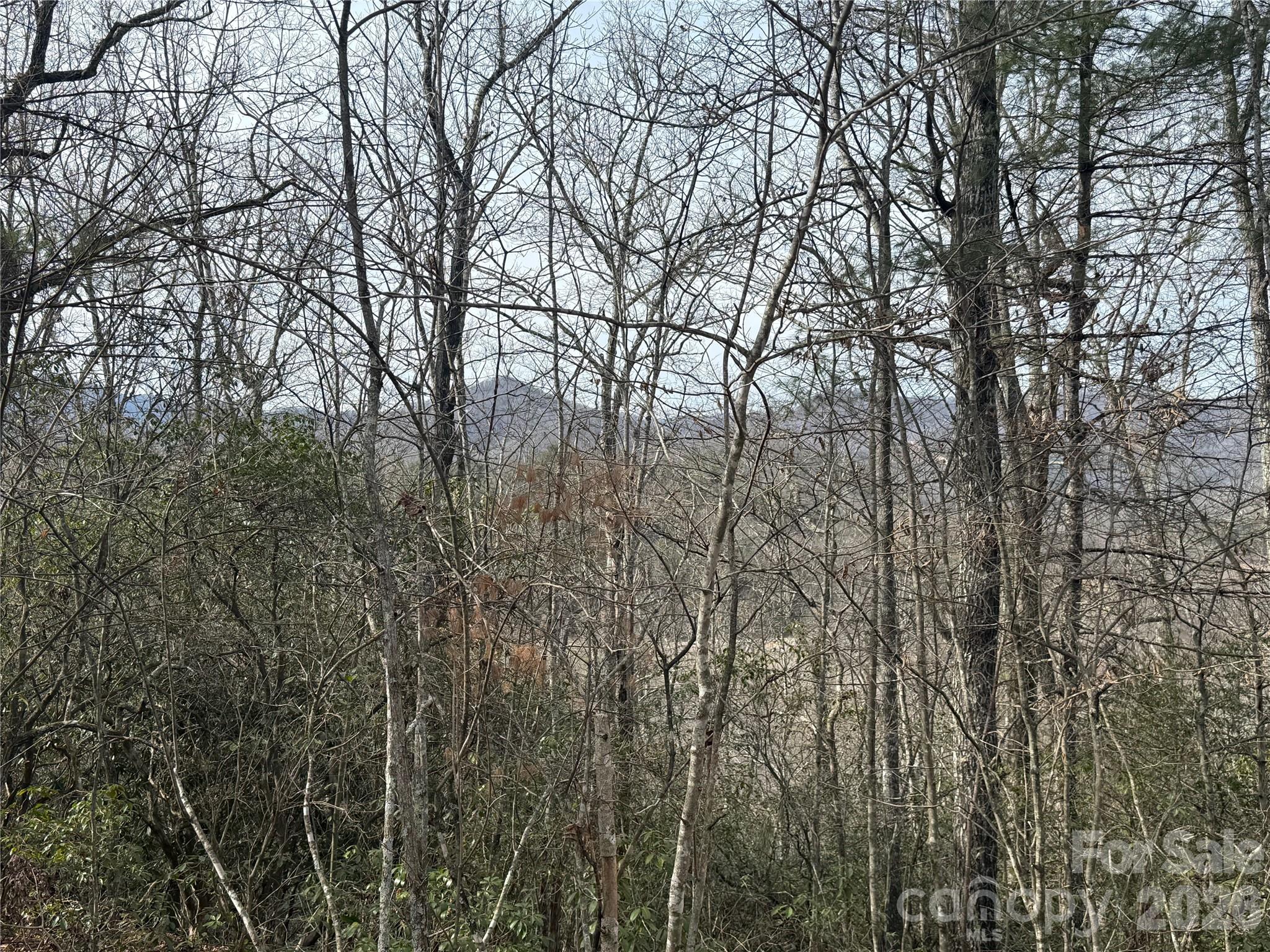 Lot 10, 11 River Run Run Property Photo 3