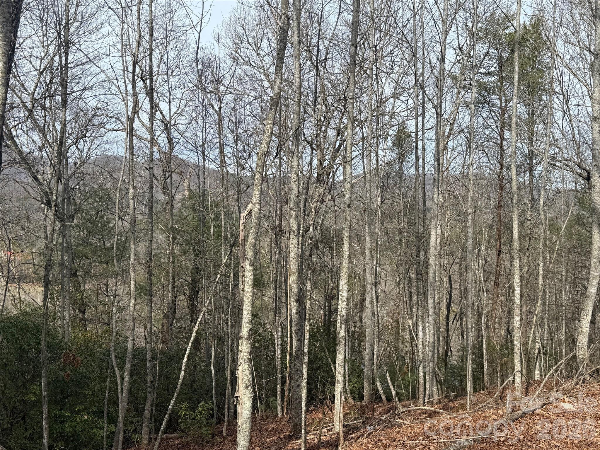 Lot 10, 11 River Run Run Property Photo 4