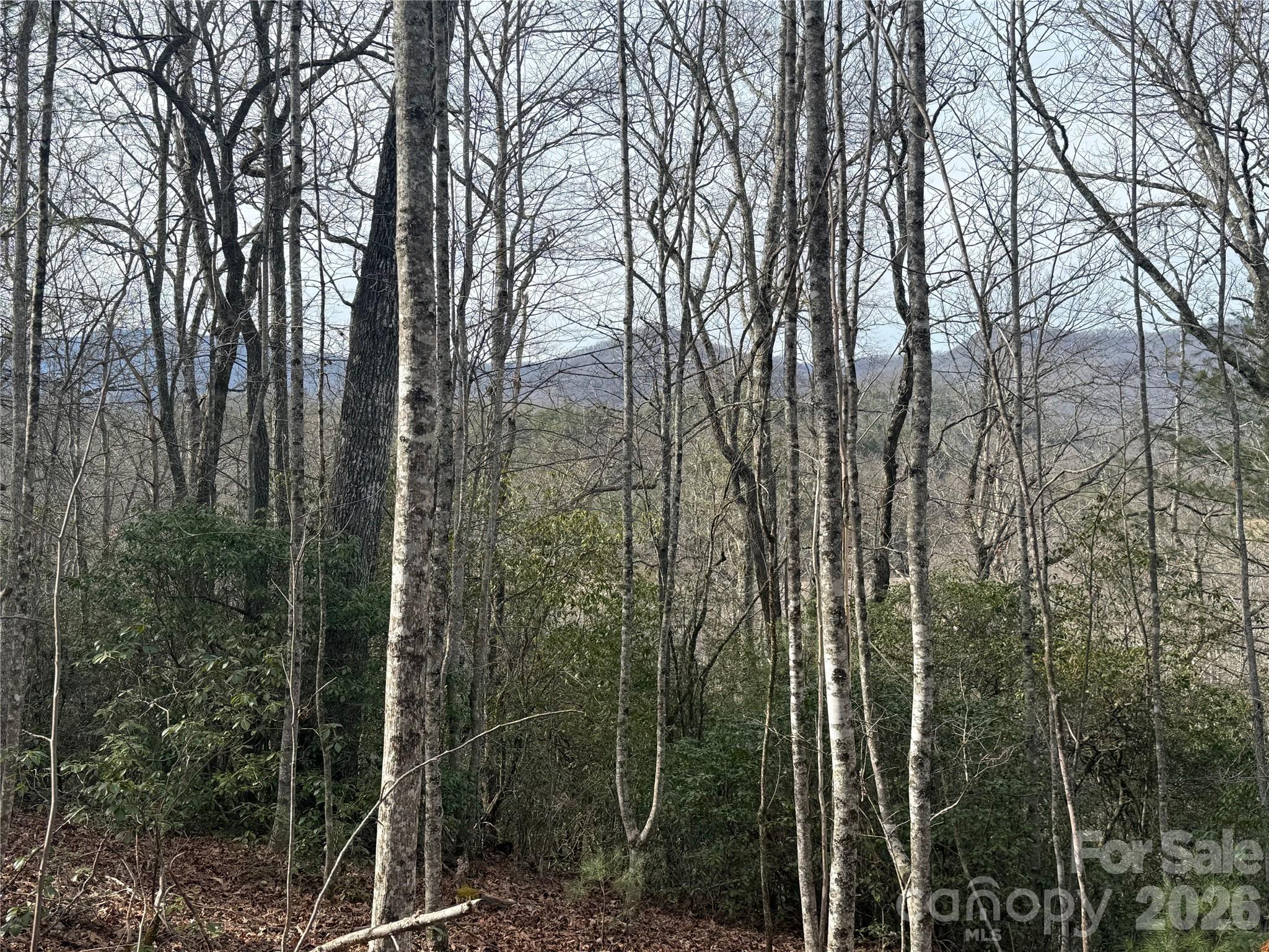 Lot 10, 11 River Run Run Property Photo 5