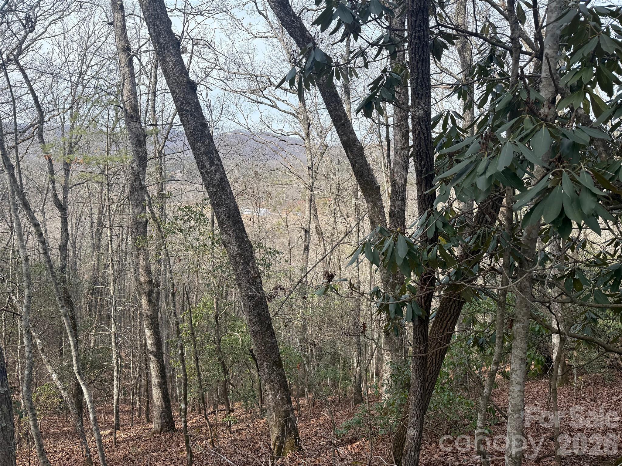 Lot 10, 11 River Run Run Property Photo 7