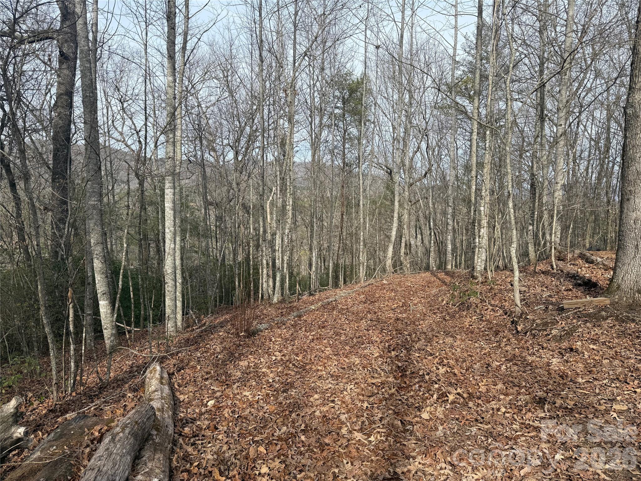Lot 10, 11 River Run Run Property Photo 8