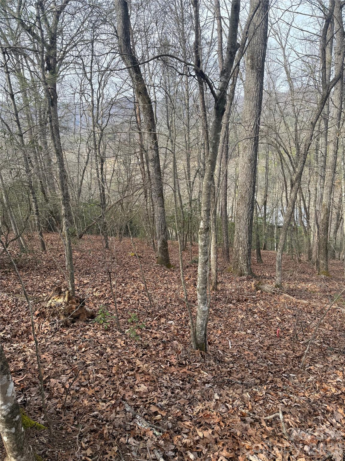 Lot 10, 11 River Run Run Property Photo 9