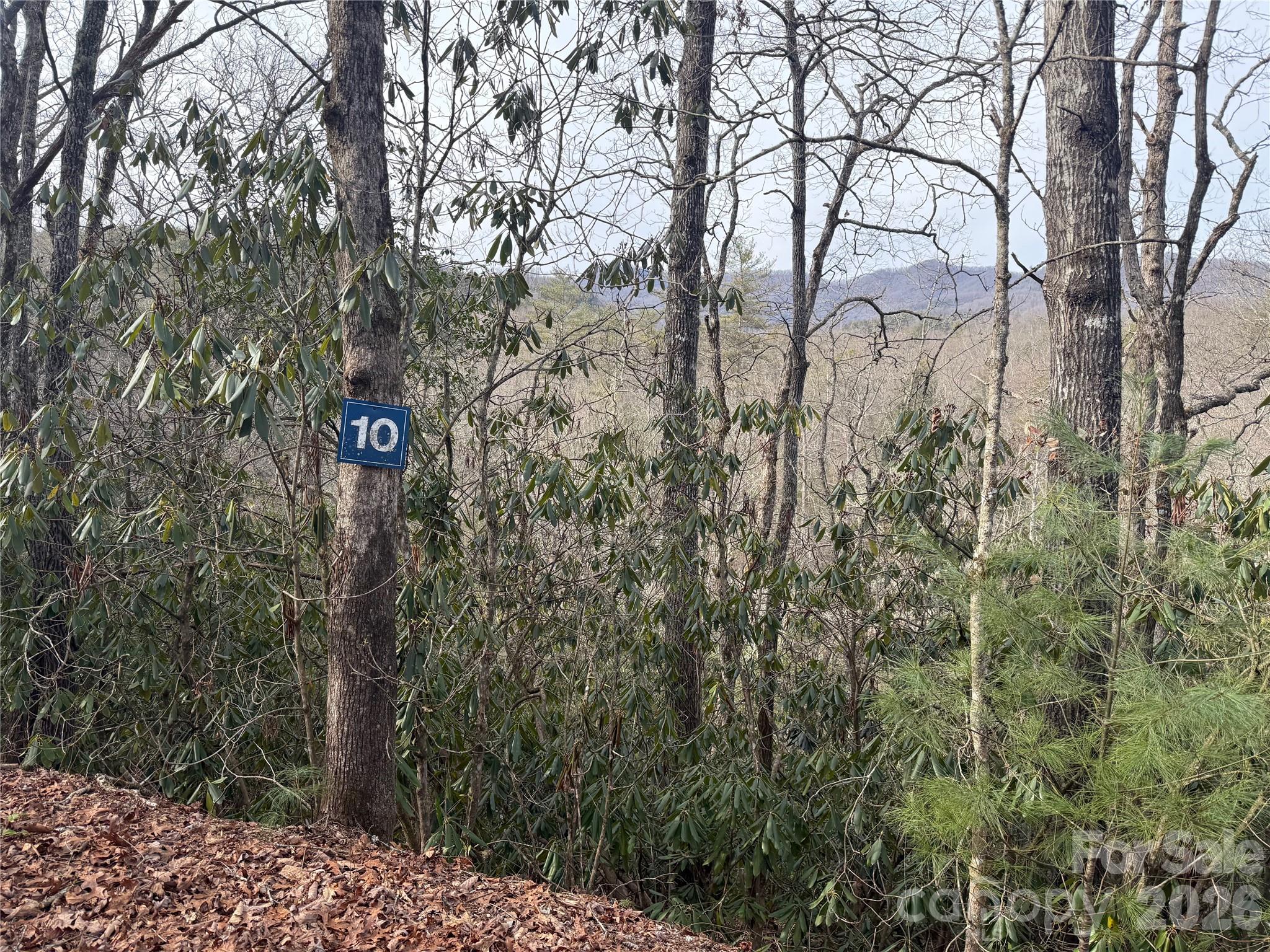 Lot 10, 11 River Run Run Property Photo 10