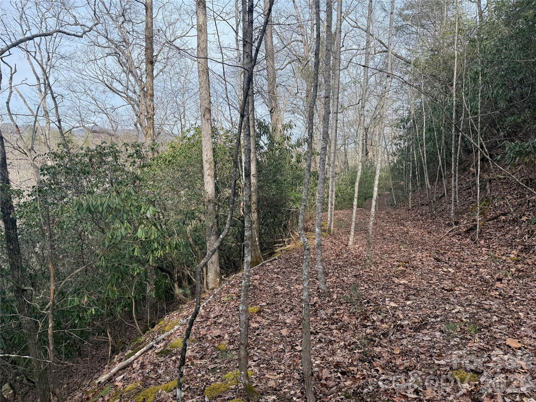 Lot 10, 11 River Run Run Property Photo 12