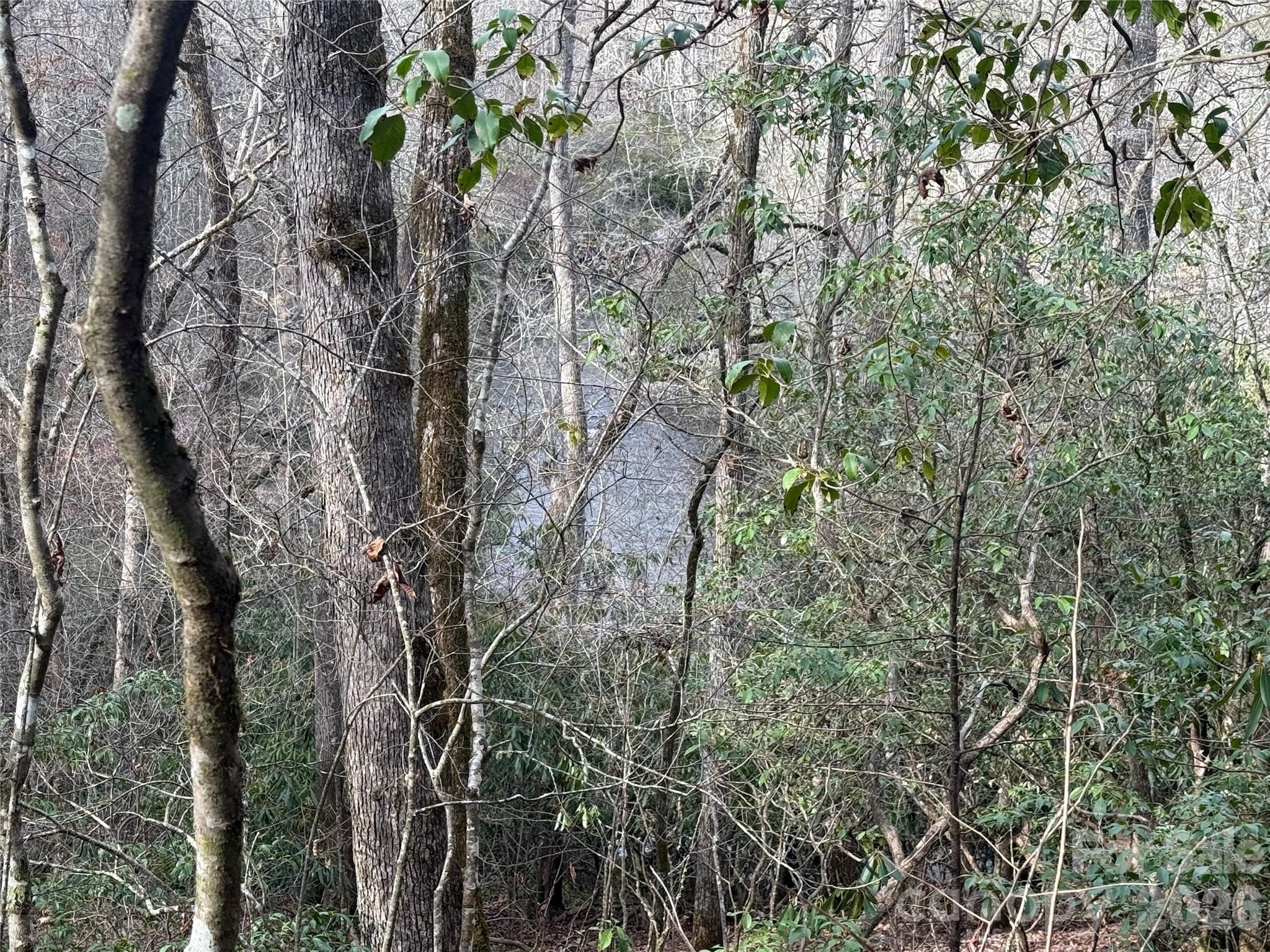 Lot 10, 11 River Run Run Property Photo 13