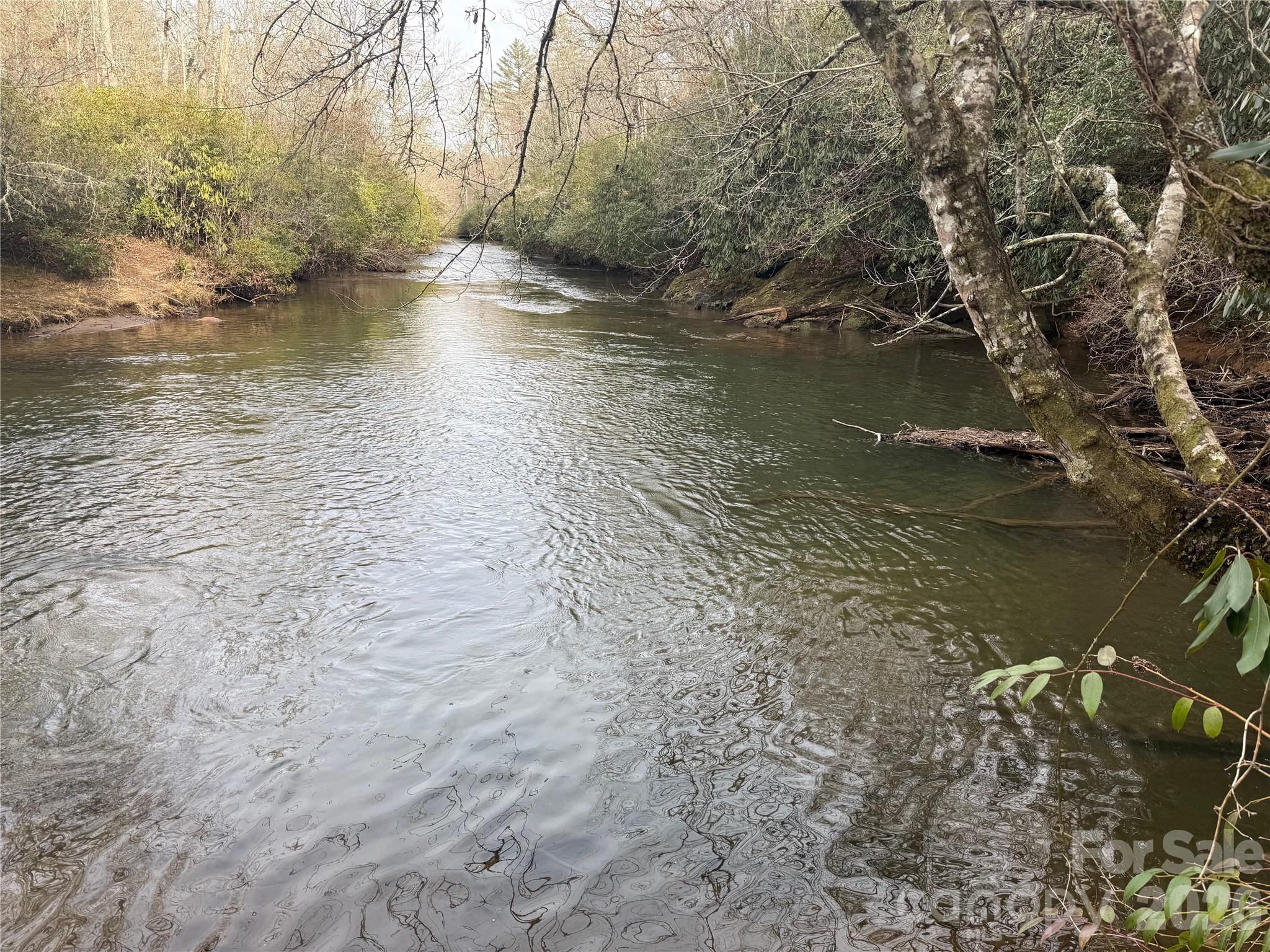 Lot 10, 11 River Run Run Property Photo 15