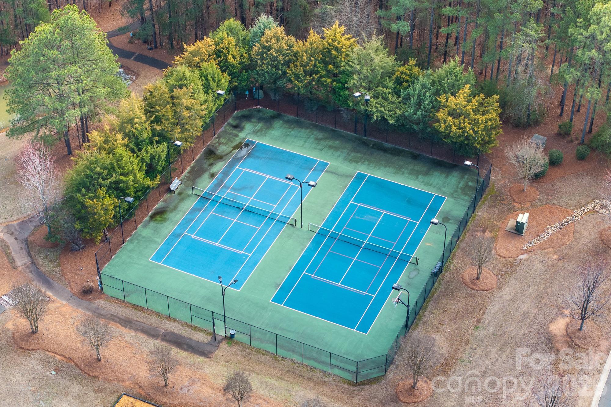 4012 Beechwood Spring Lane Property Photo 5