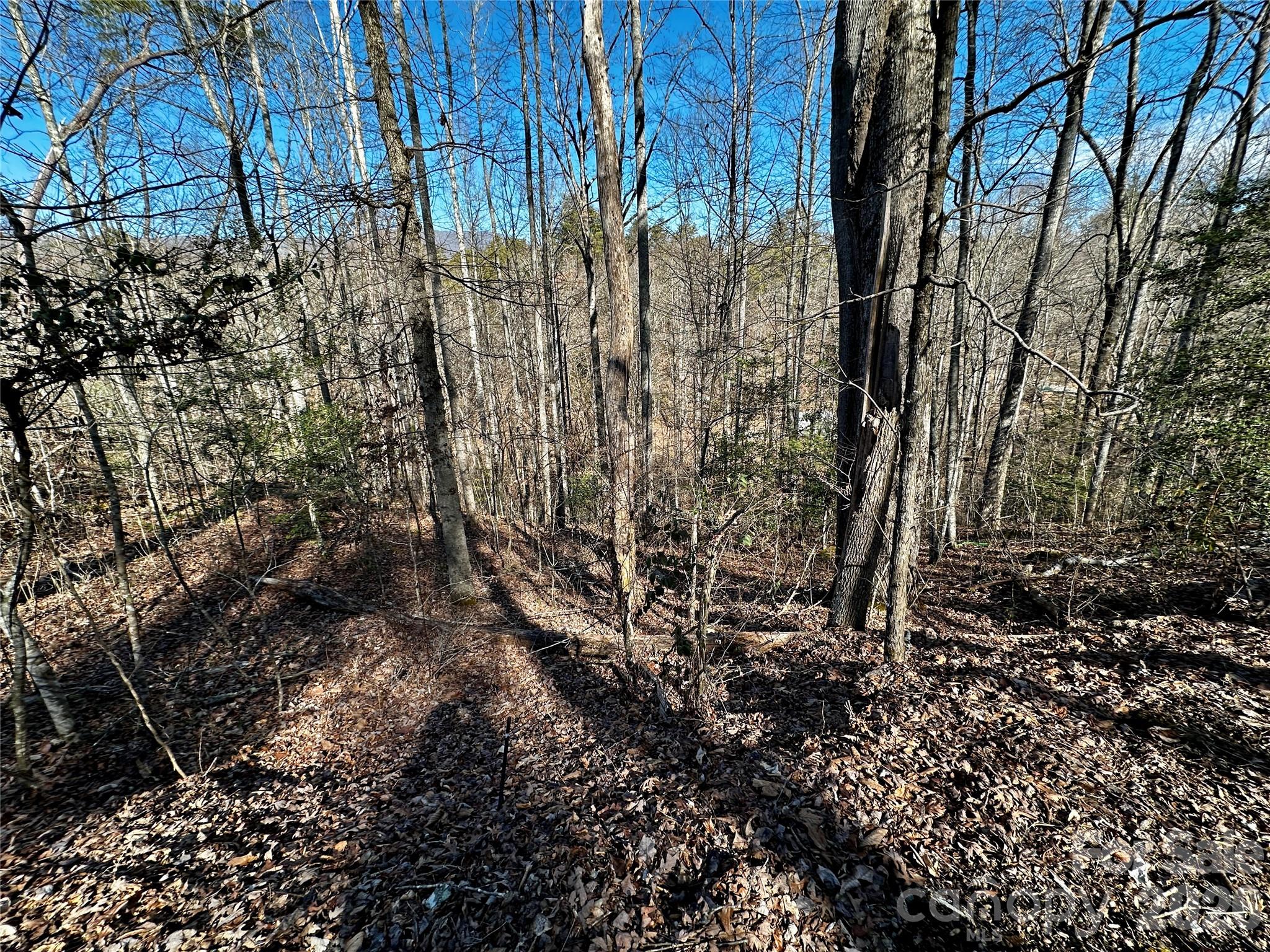 Lot 11 Blue Mist Mountain Road Property Photo 1