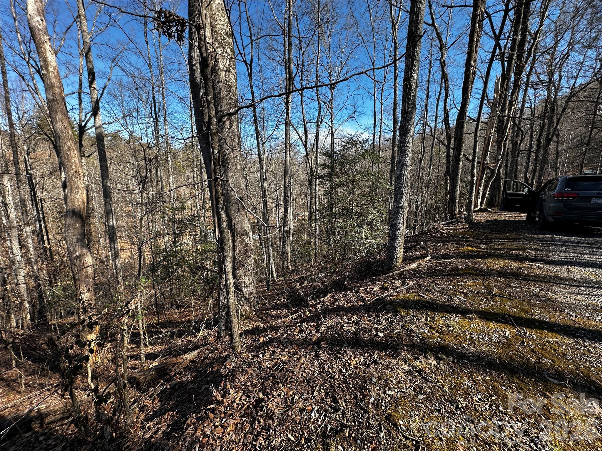Lot 11 Blue Mist Mountain Road Property Photo 2