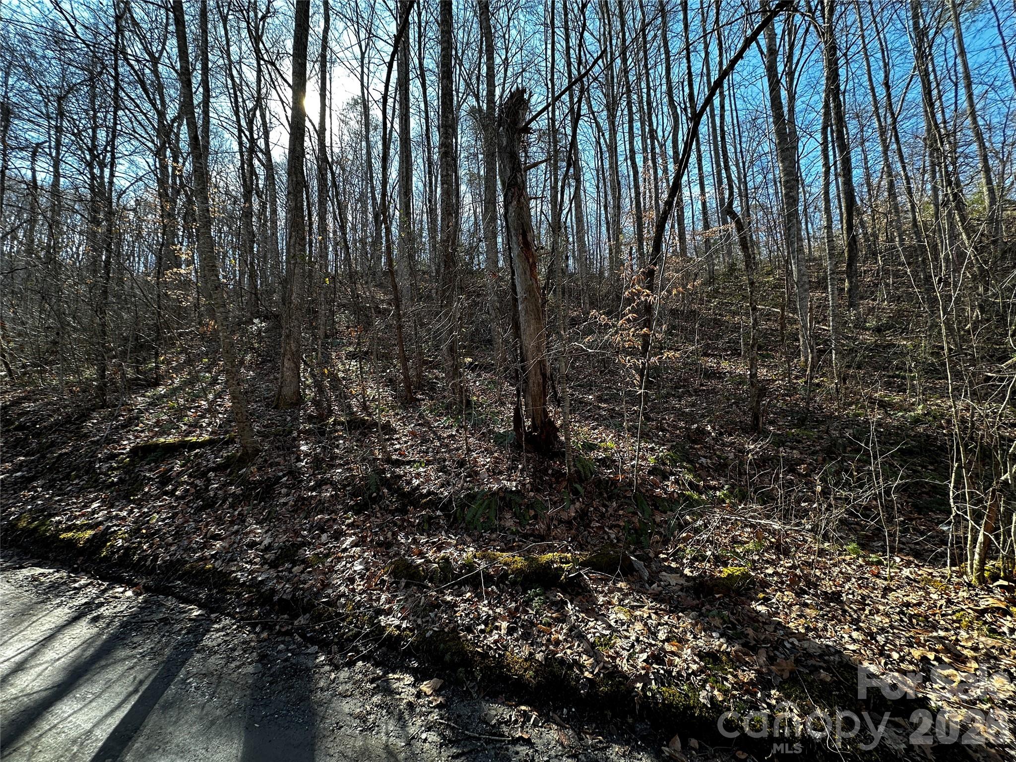 Lot 11 Blue Mist Mountain Road Property Photo 3