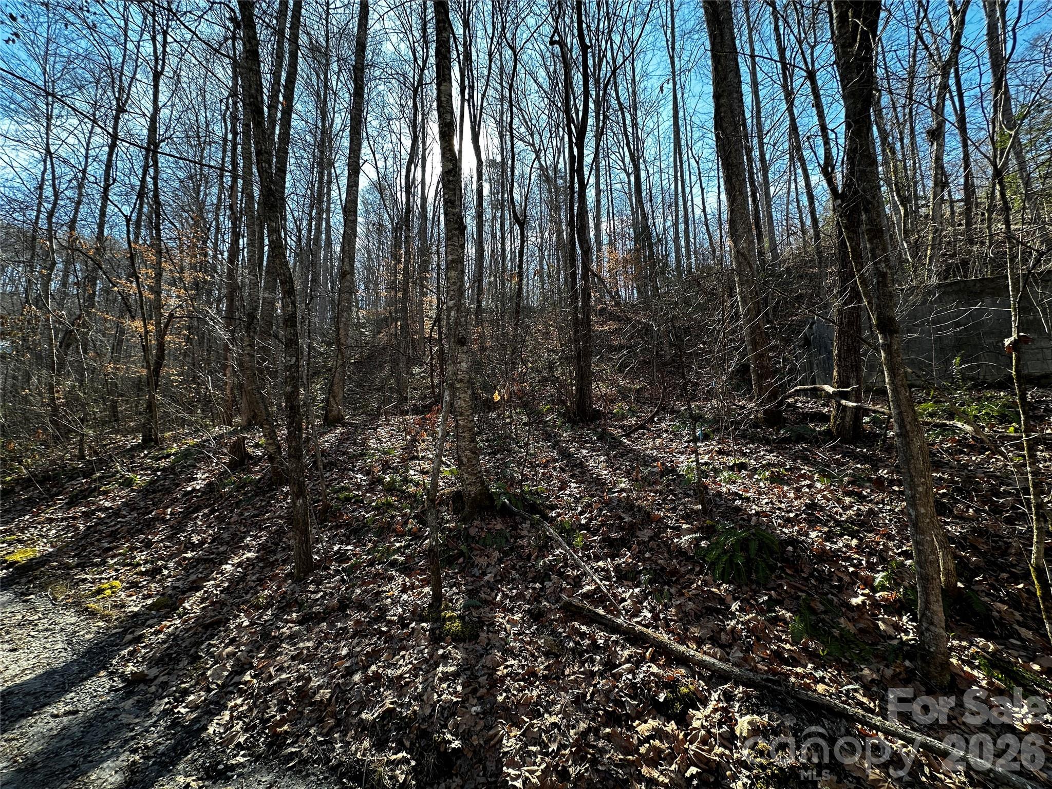 Lot 11 Blue Mist Mountain Road Property Photo 4