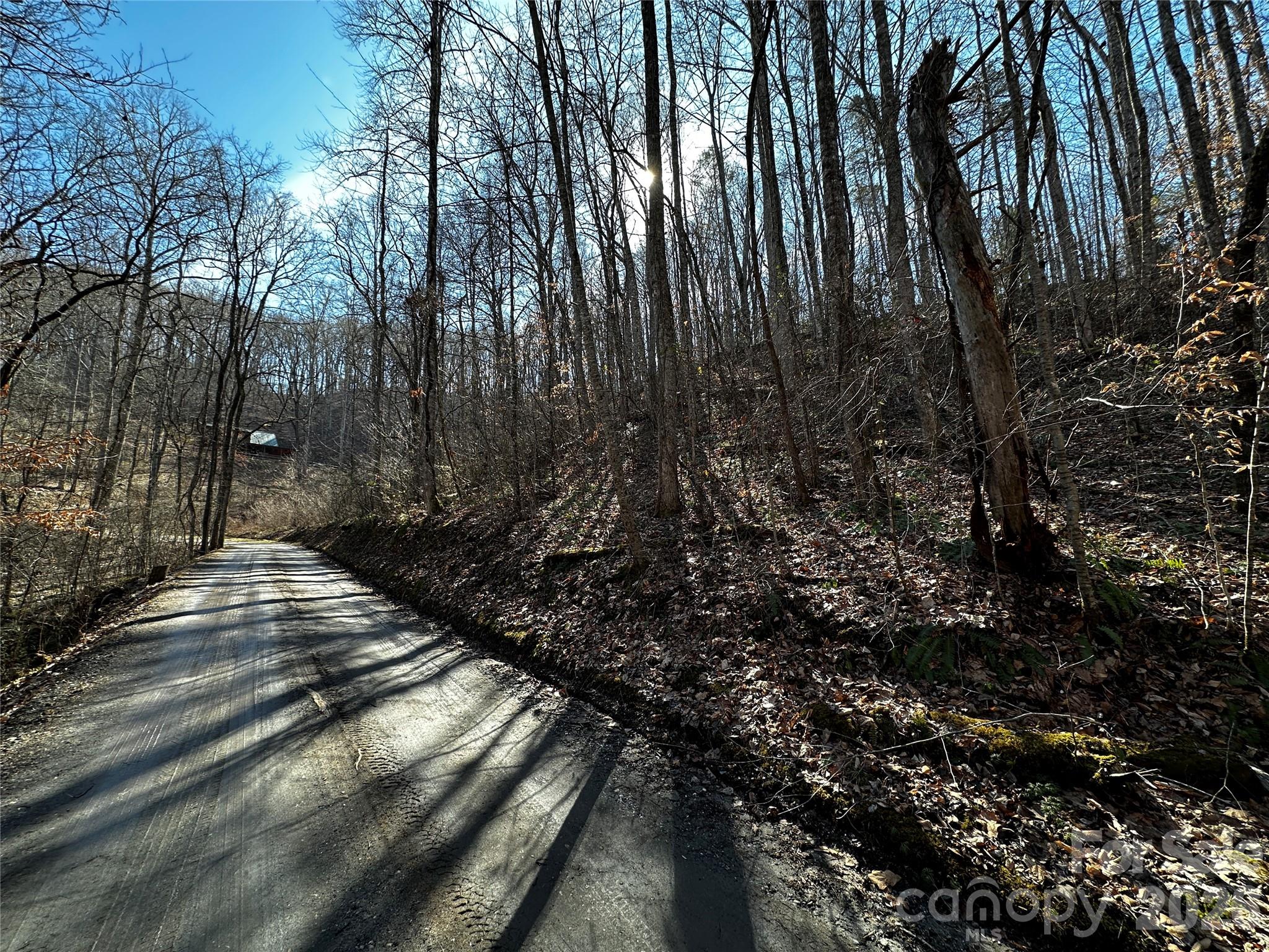 Lot 11 Blue Mist Mountain Road Property Photo 5