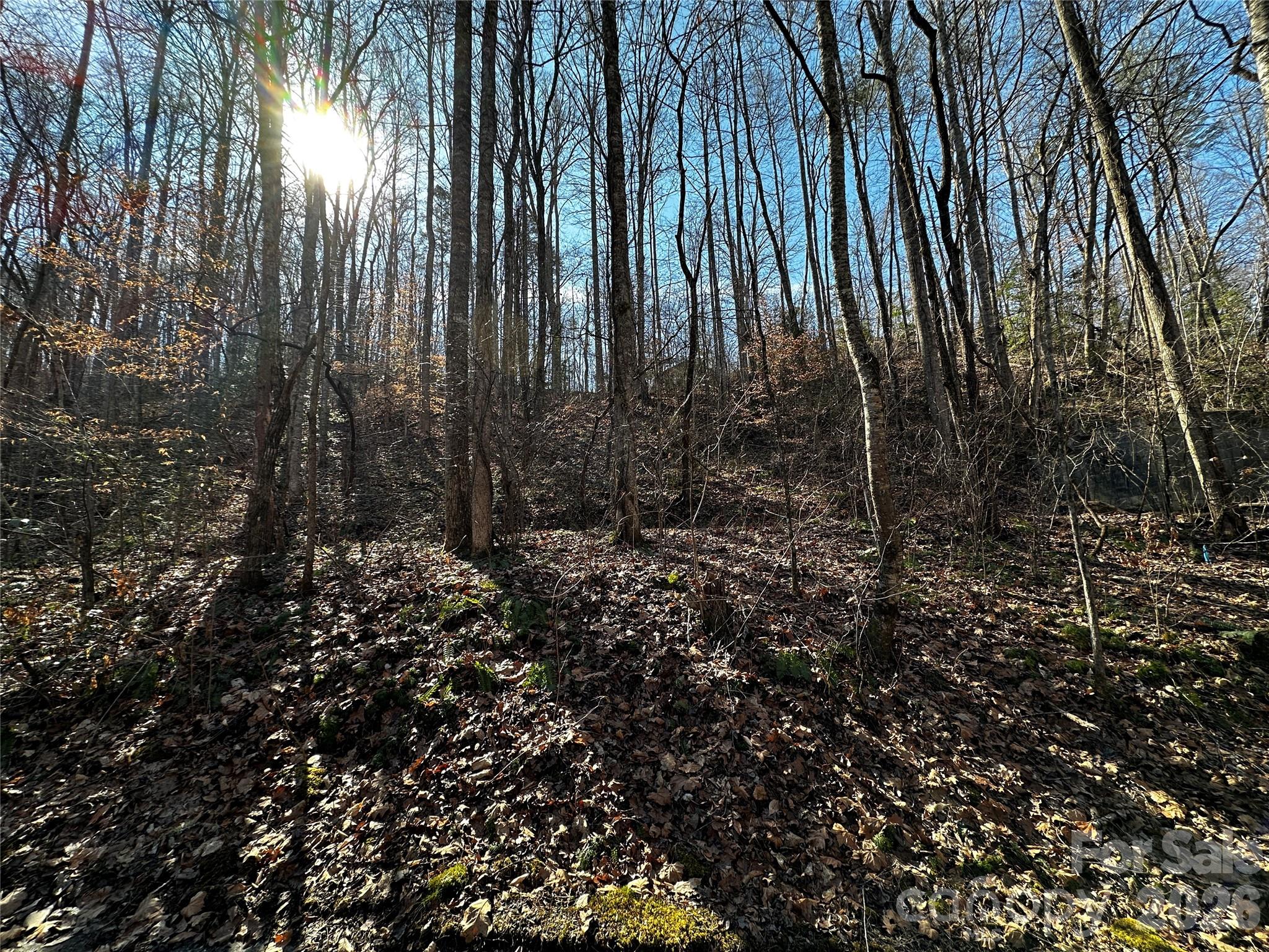 Lot 11 Blue Mist Mountain Road Property Photo 6