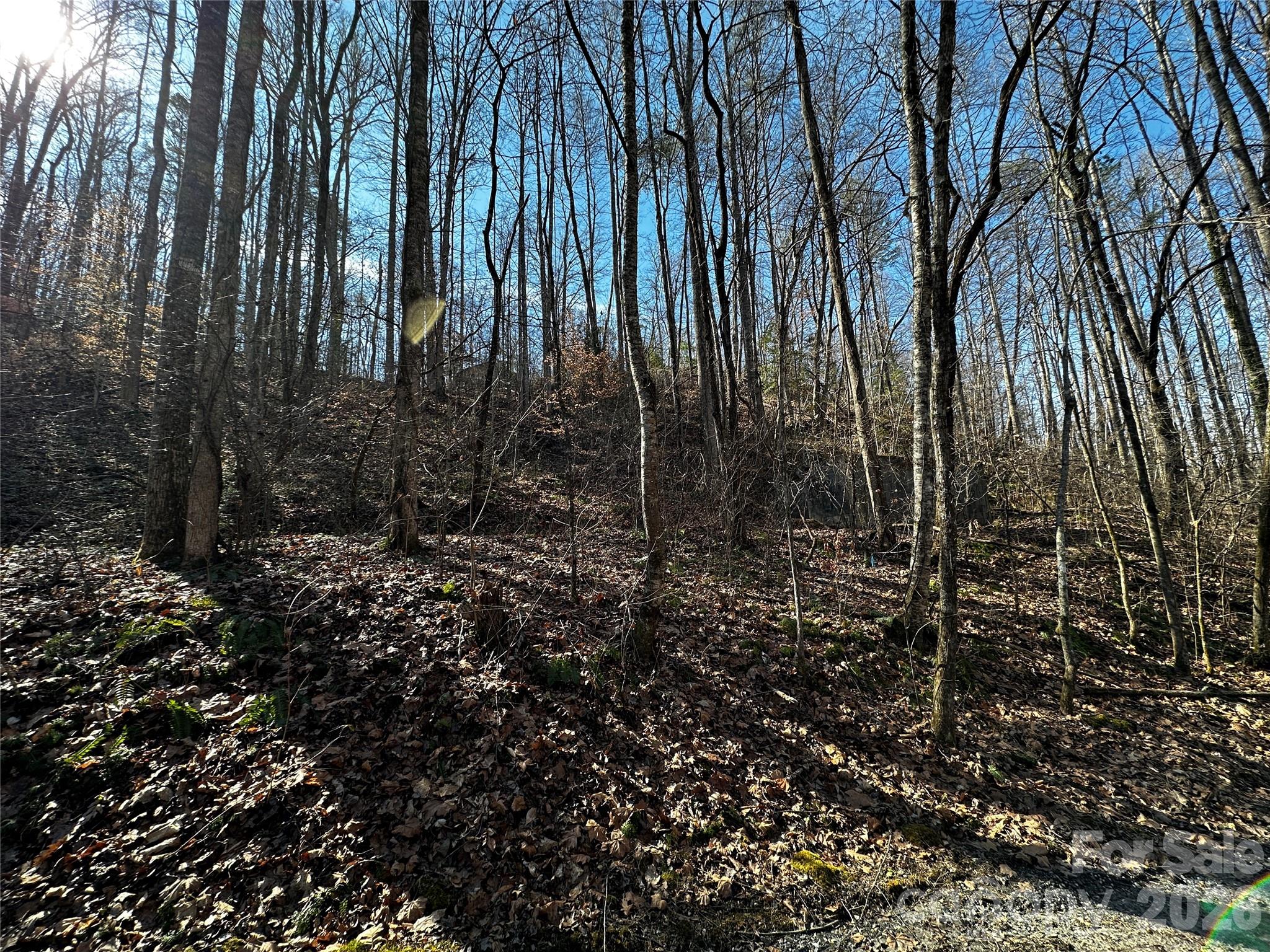 Lot 11 Blue Mist Mountain Road Property Photo 7