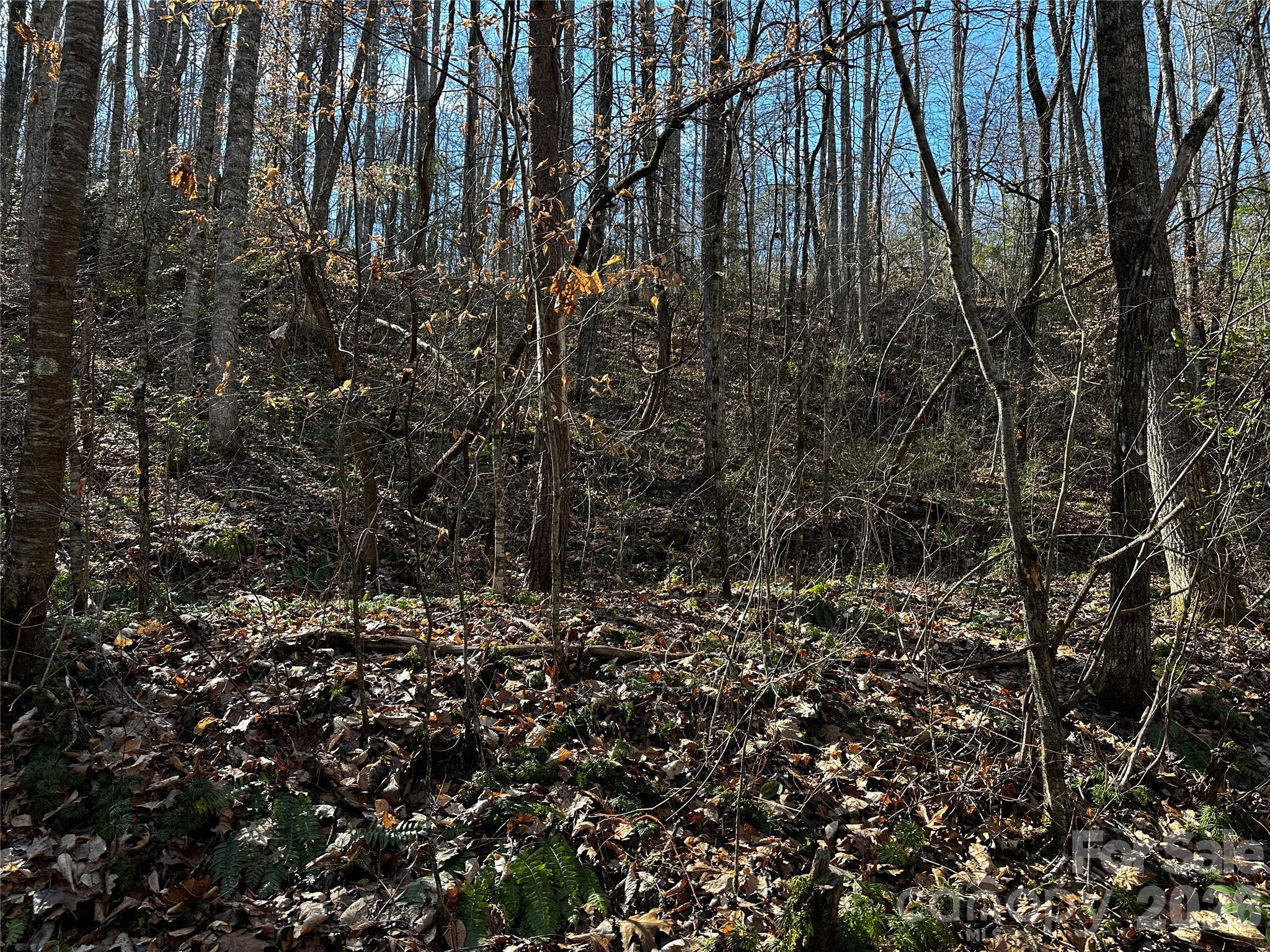 Lot 11 Blue Mist Mountain Road Property Photo 8