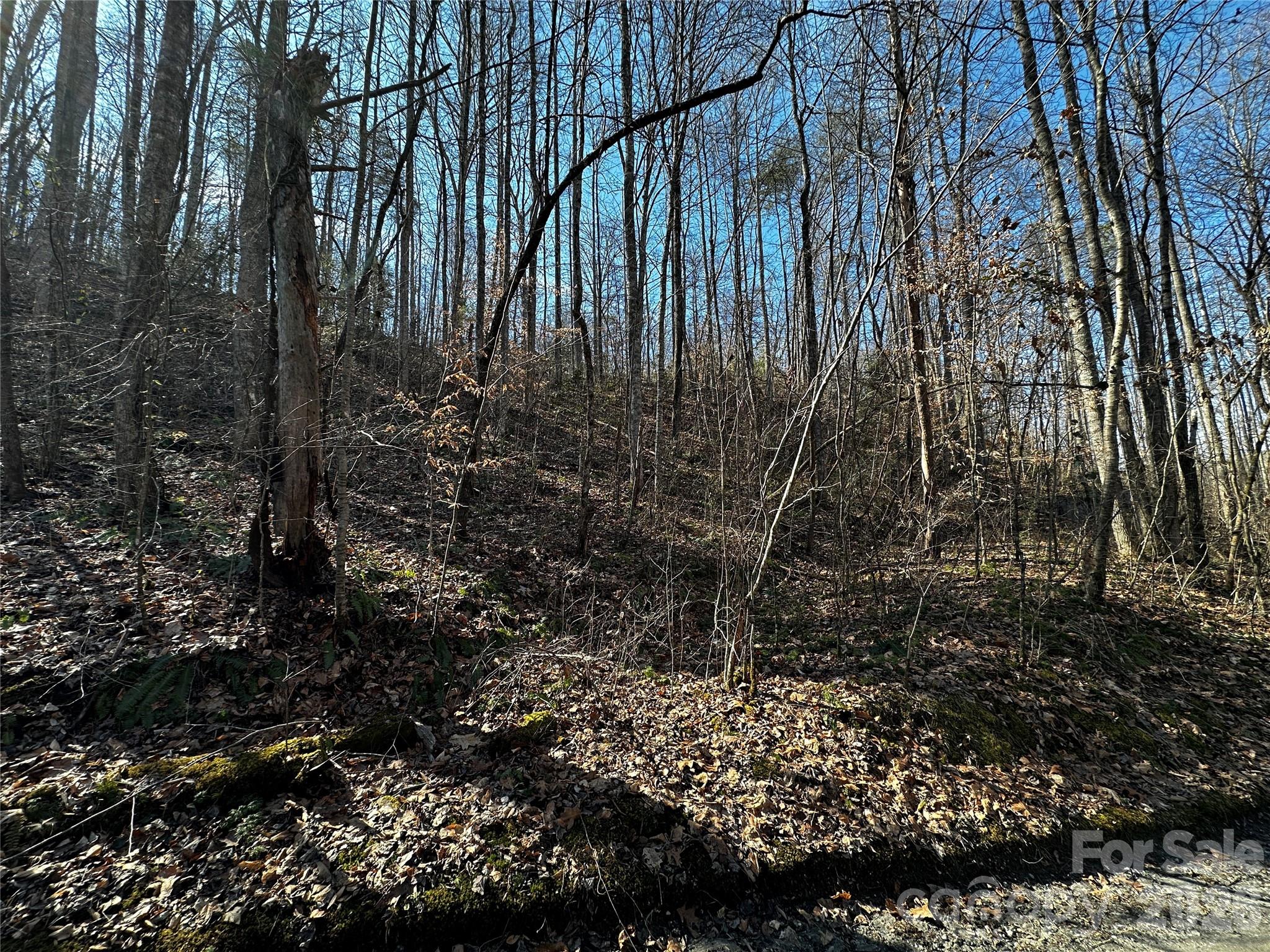 Lot 11 Blue Mist Mountain Road Property Photo 9