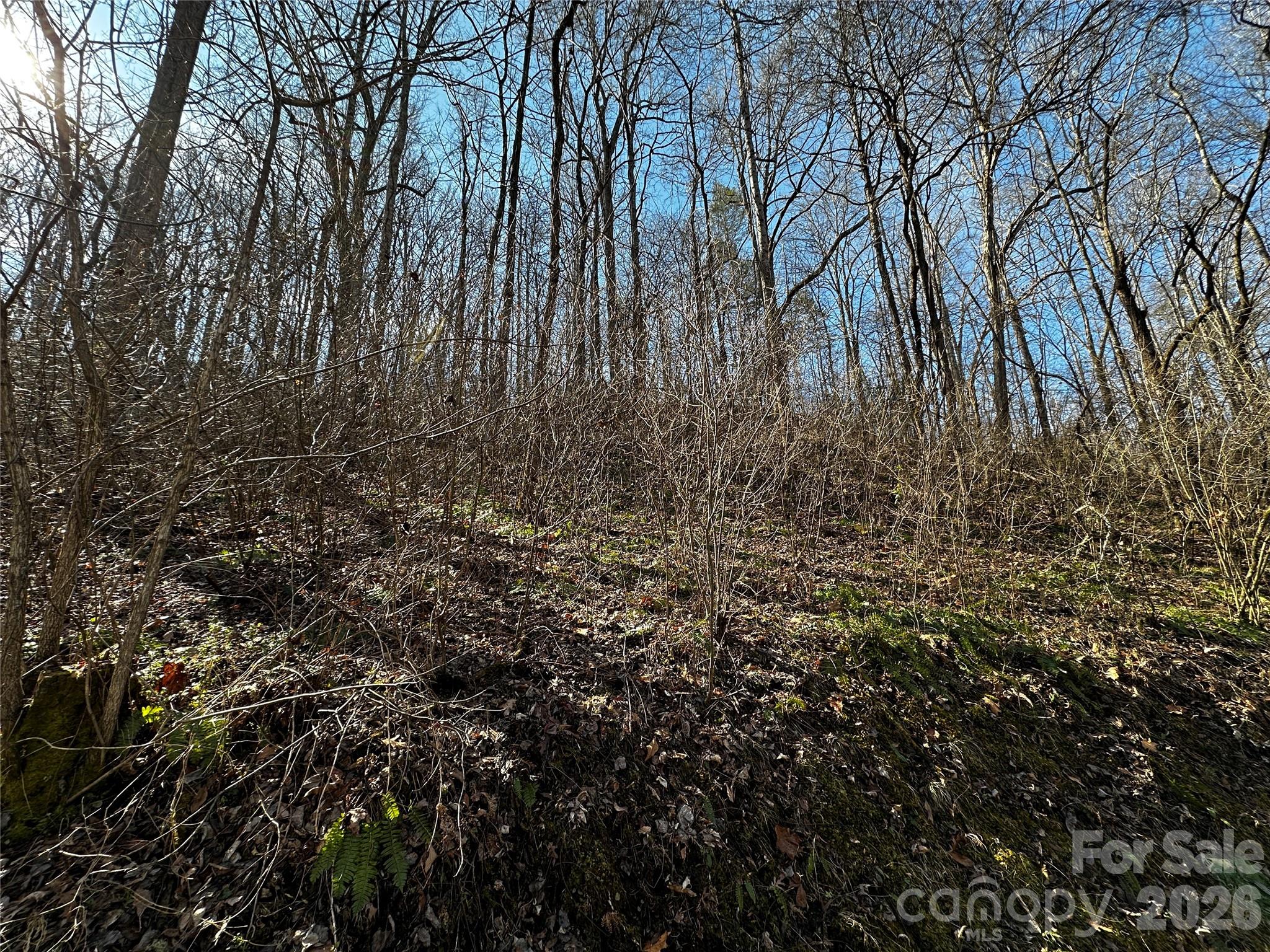Lot 11 Blue Mist Mountain Road Property Photo 10