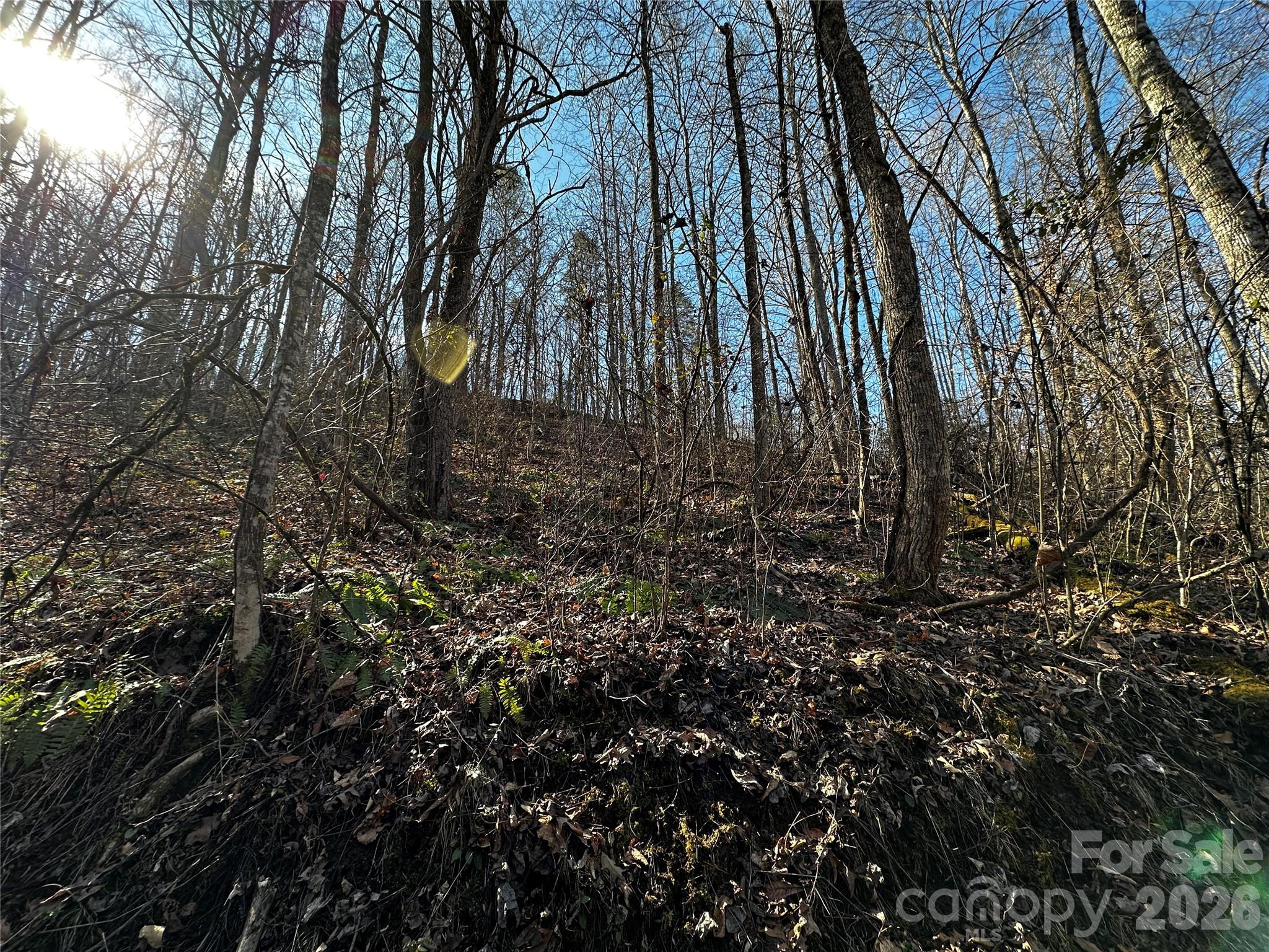 Lot 11 Blue Mist Mountain Road Property Photo 11